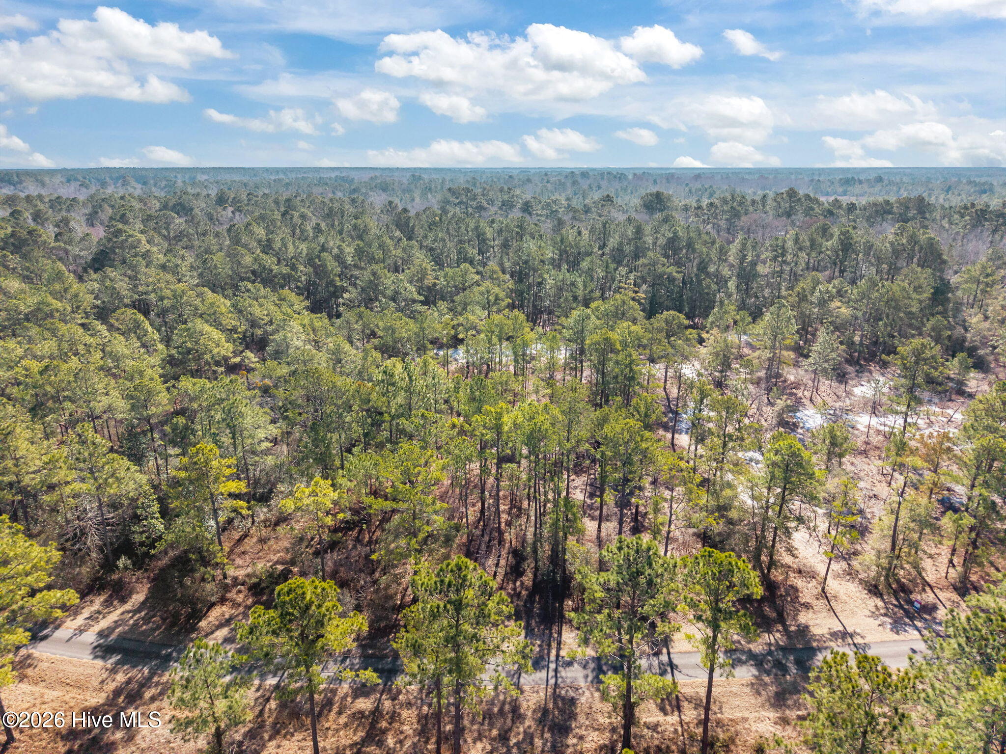 100554488 | Photo 20