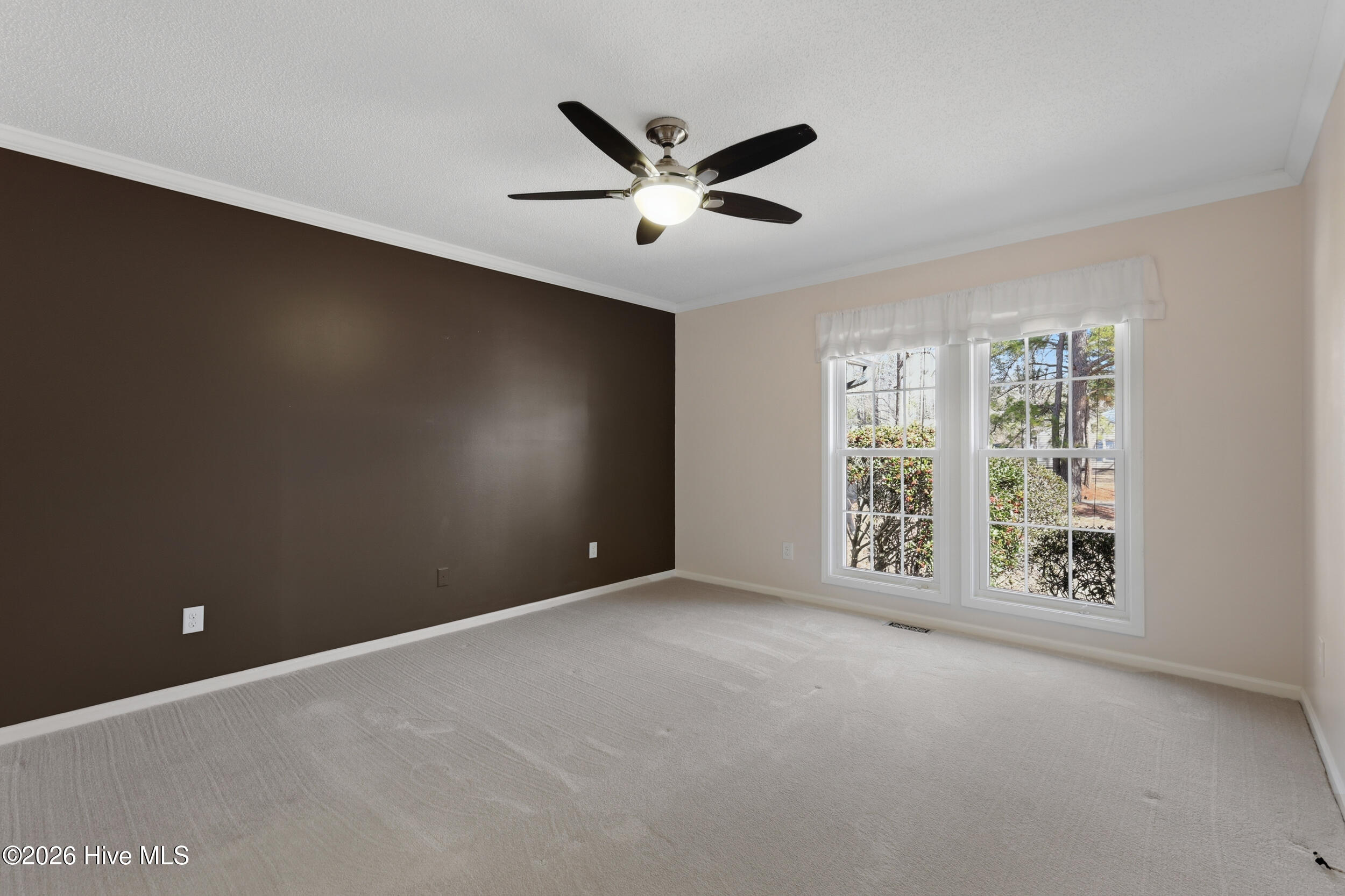 100556614 | Photo 16