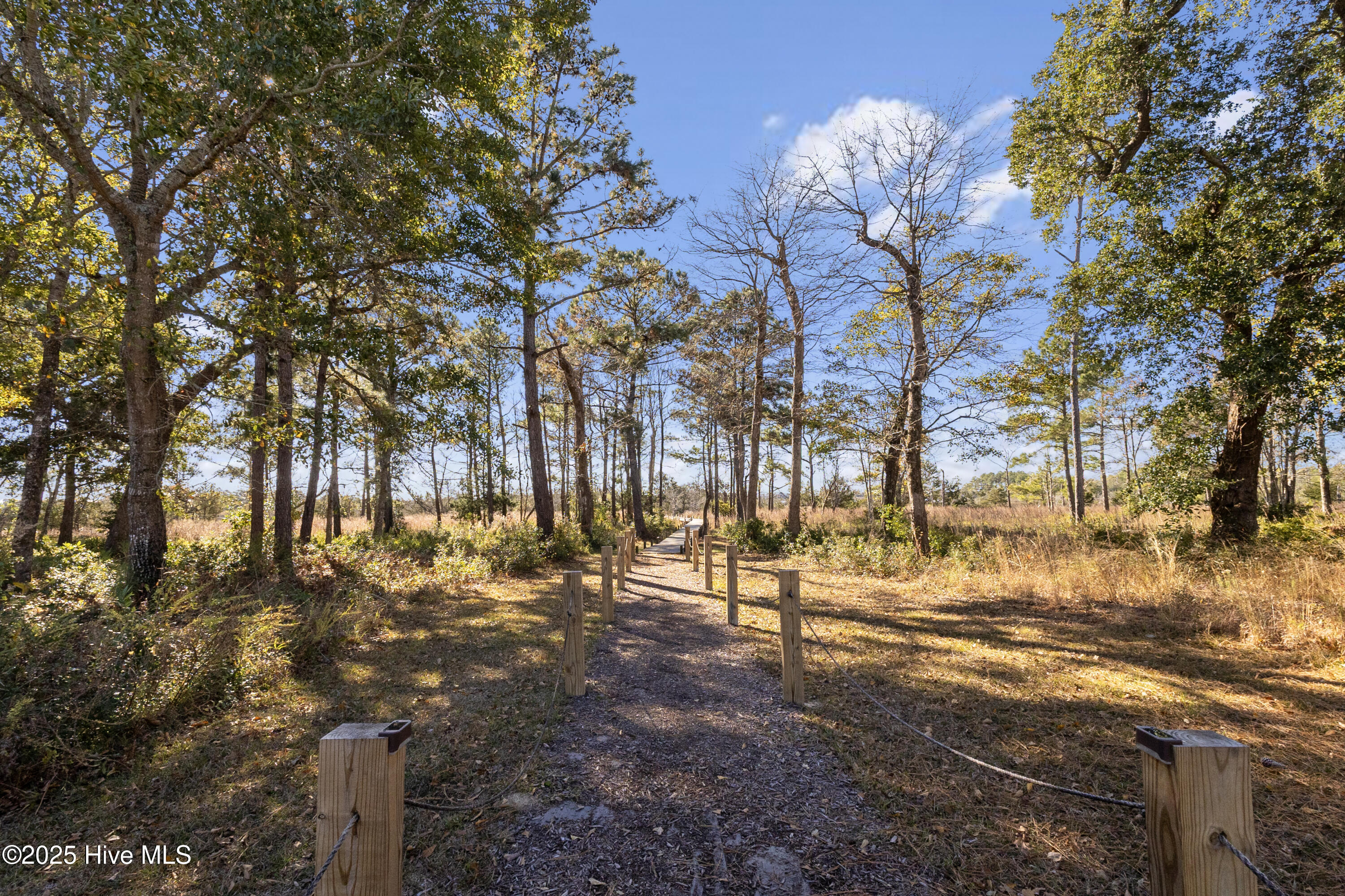 100543639 | Photo 40