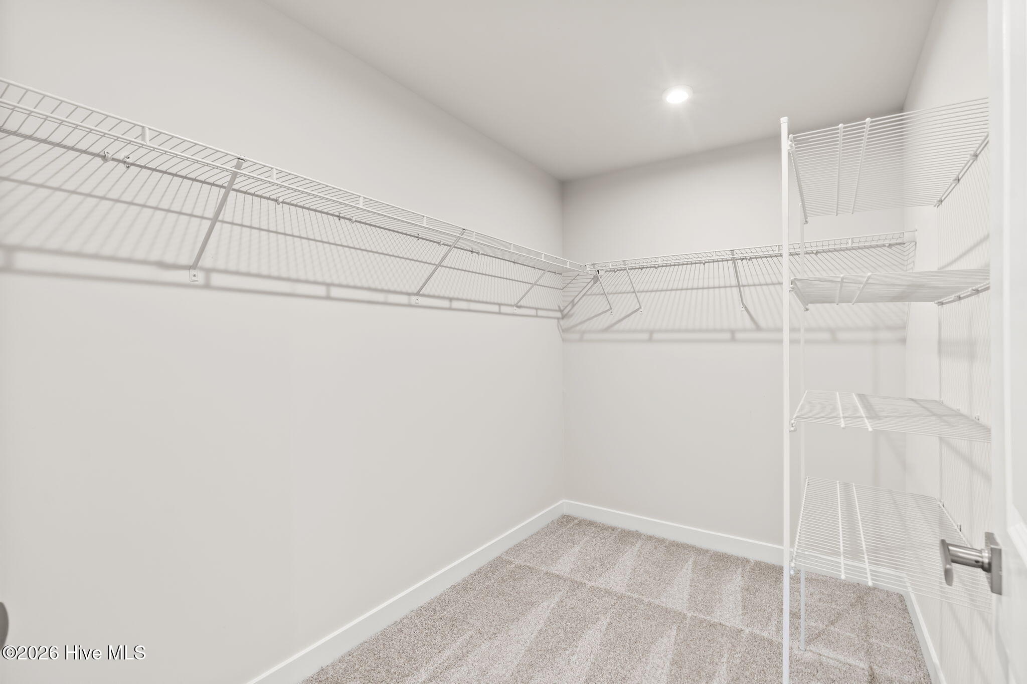 100546061 | Photo 15