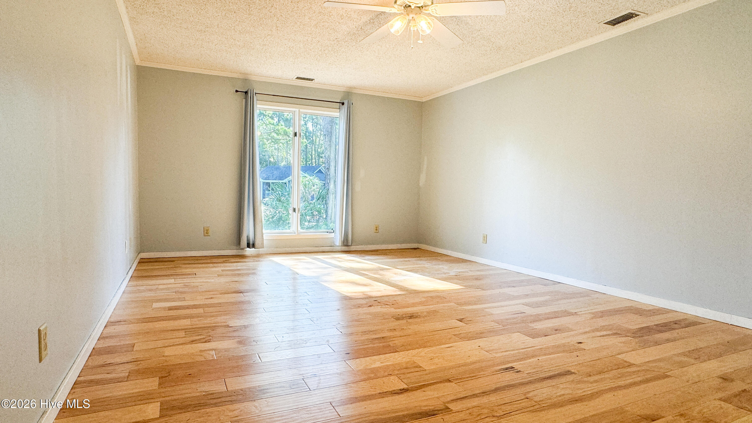 100565099 | Photo 19