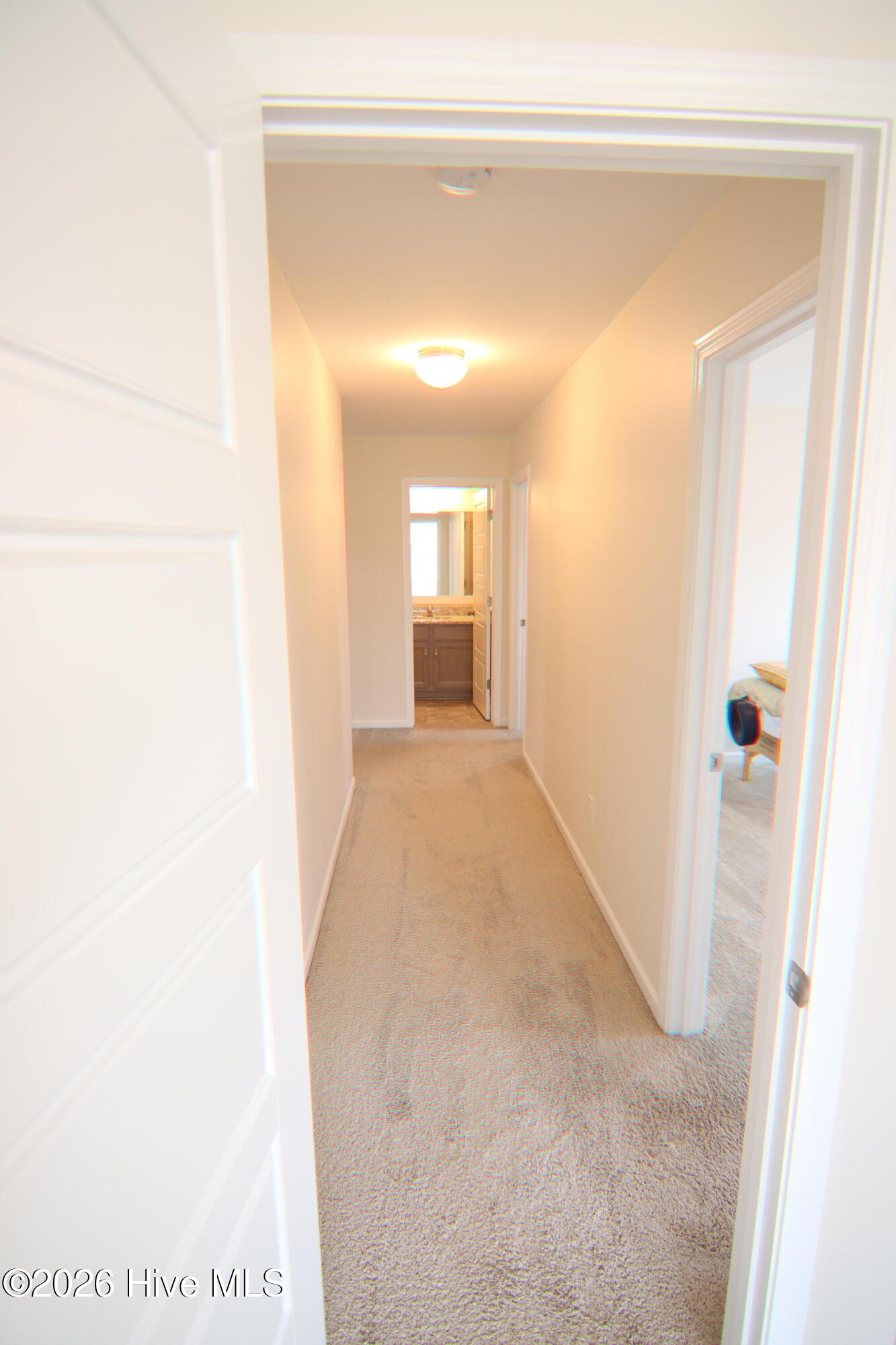 100565825 | Photo 30