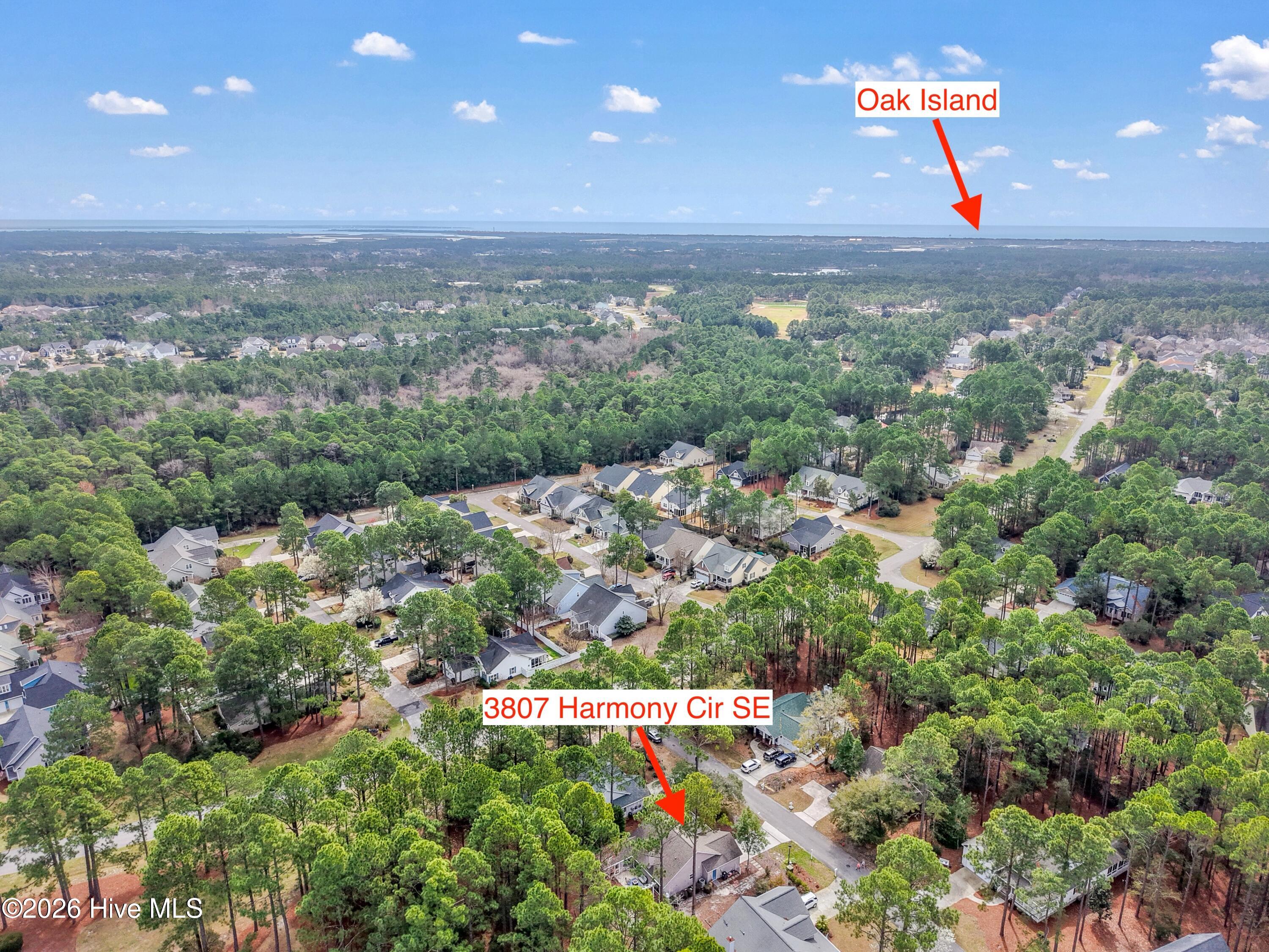 100559952 | Photo 53