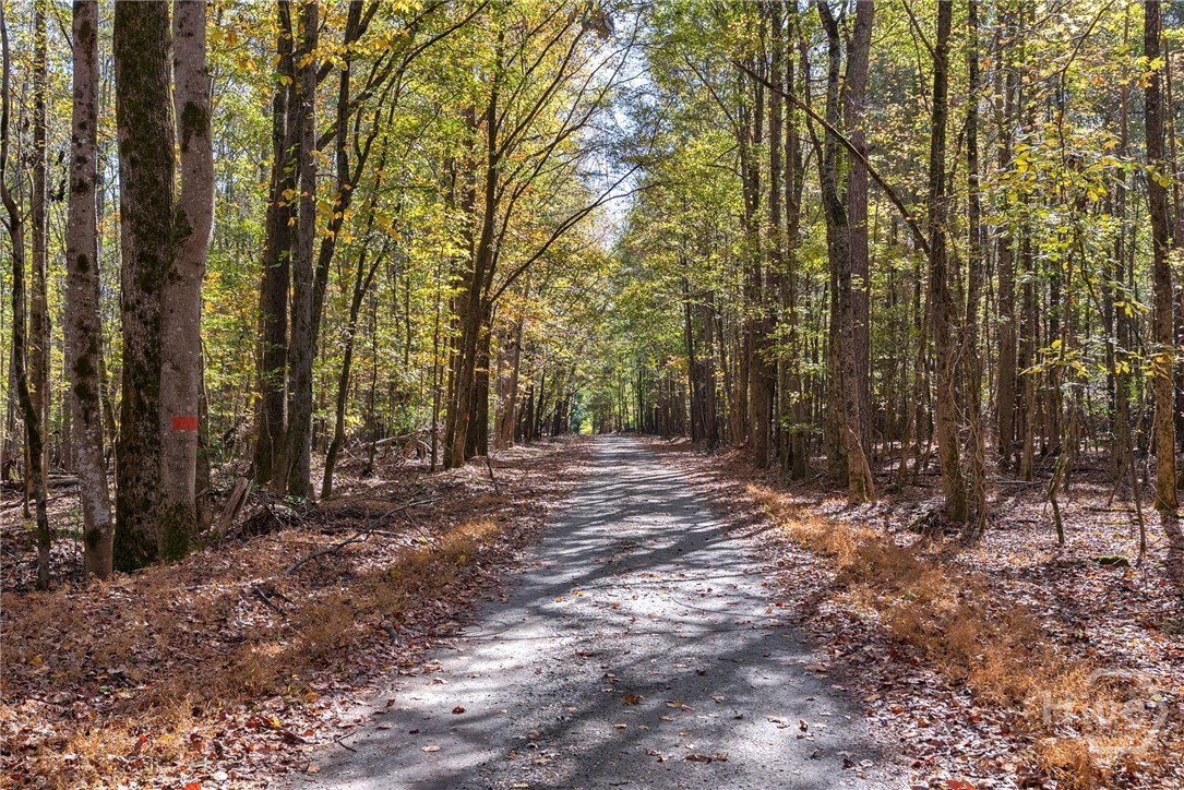 Homes for sale in Arnoldsville, GA | 0 Wilson Lane, Arnoldsville, GA 30619 | MLS# CL343171