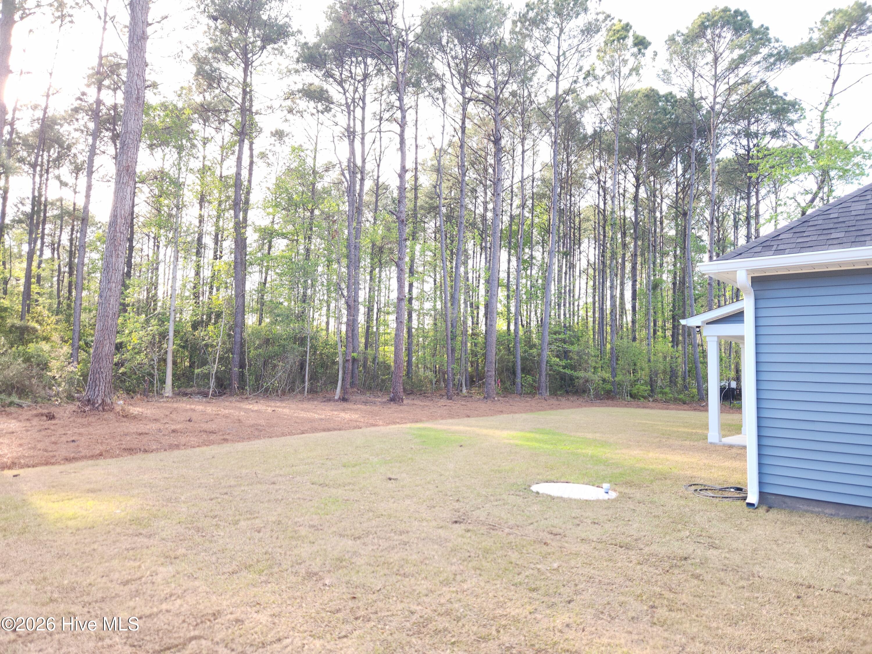 100566196 | Photo 49