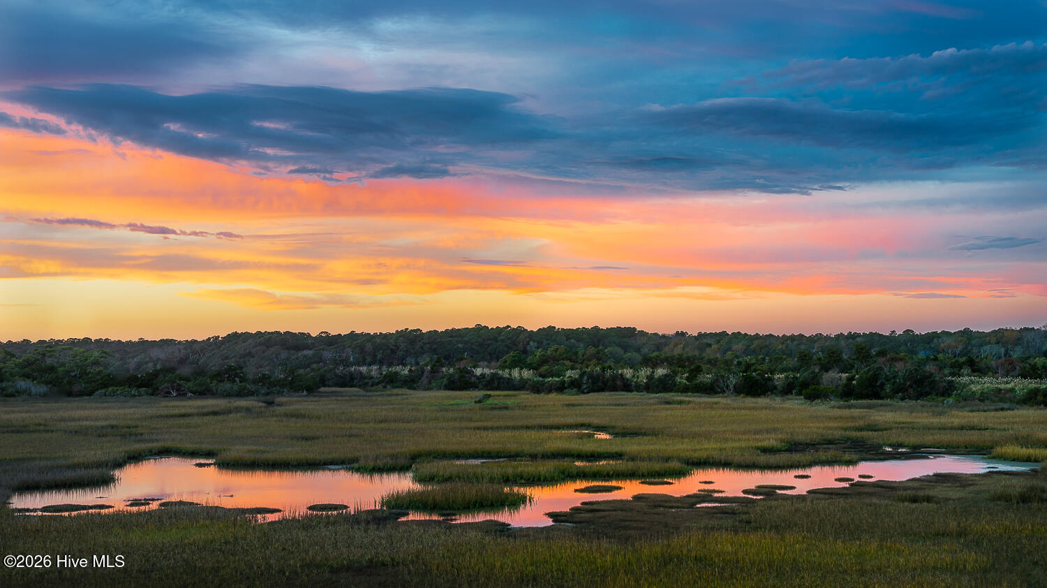 100558900 | Photo 21