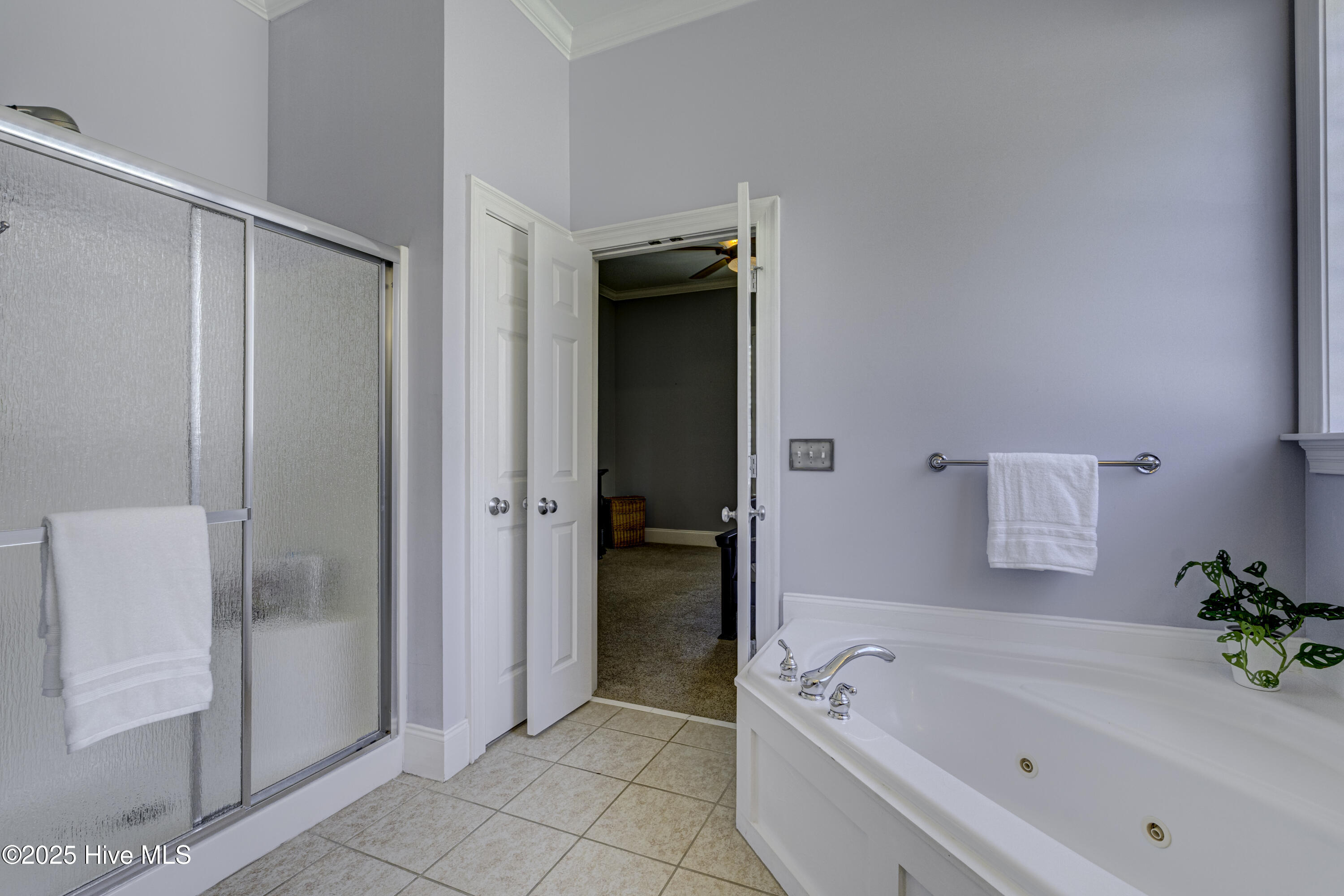 100535158 | Photo 38