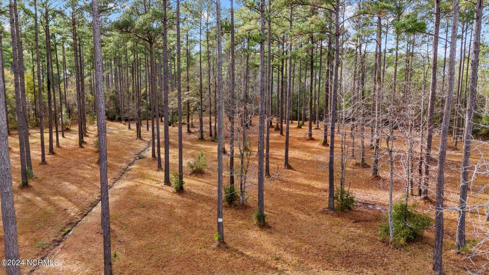137 Lot 31 Ocracoke Drive,Oriental
