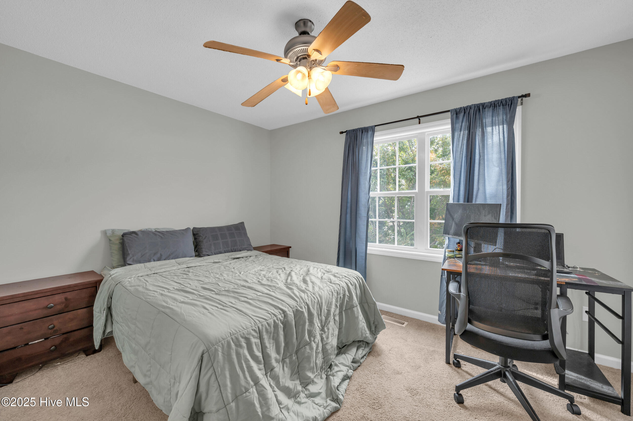 100536338 | Photo 16