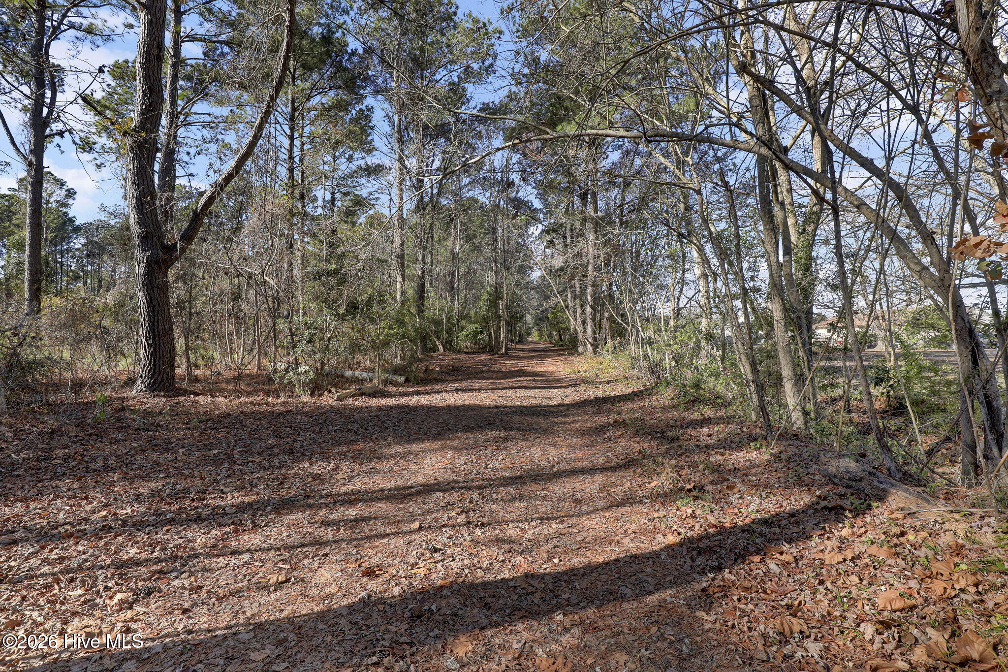 100548180 | Photo 31