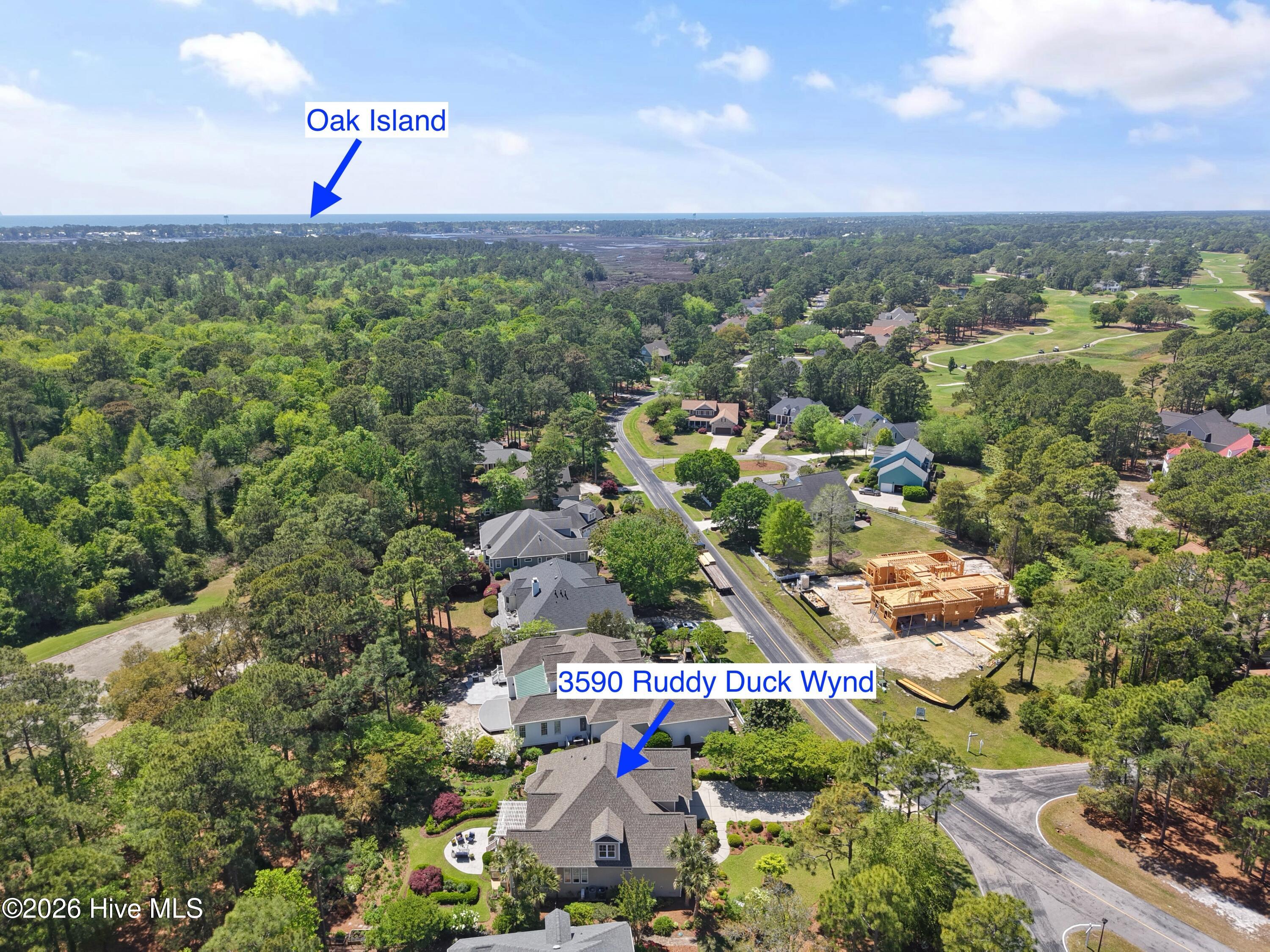 100567309 | Photo 86