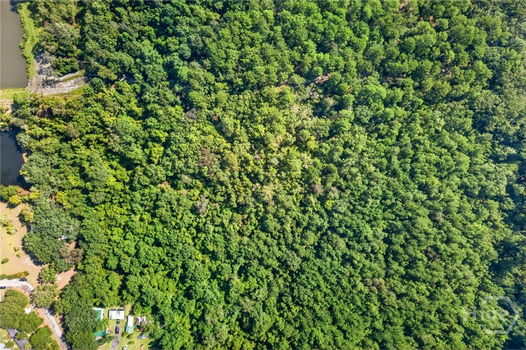 Photo 3 of Land for sale at 0 Sherwood Dr, Rincon, GA 31326 | MLS# SA364779 | Listing updated on 2026-09-18