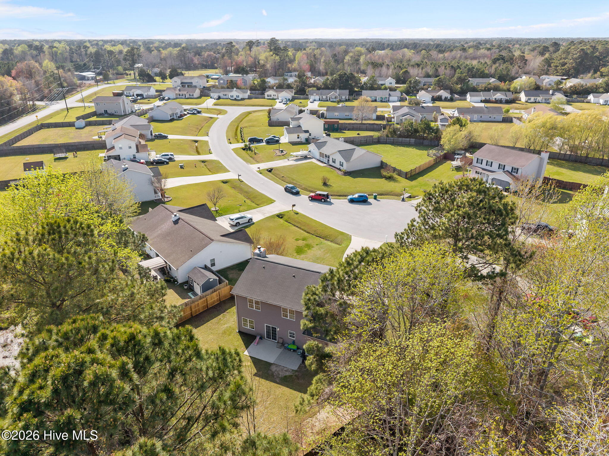 100568127 | Photo 42