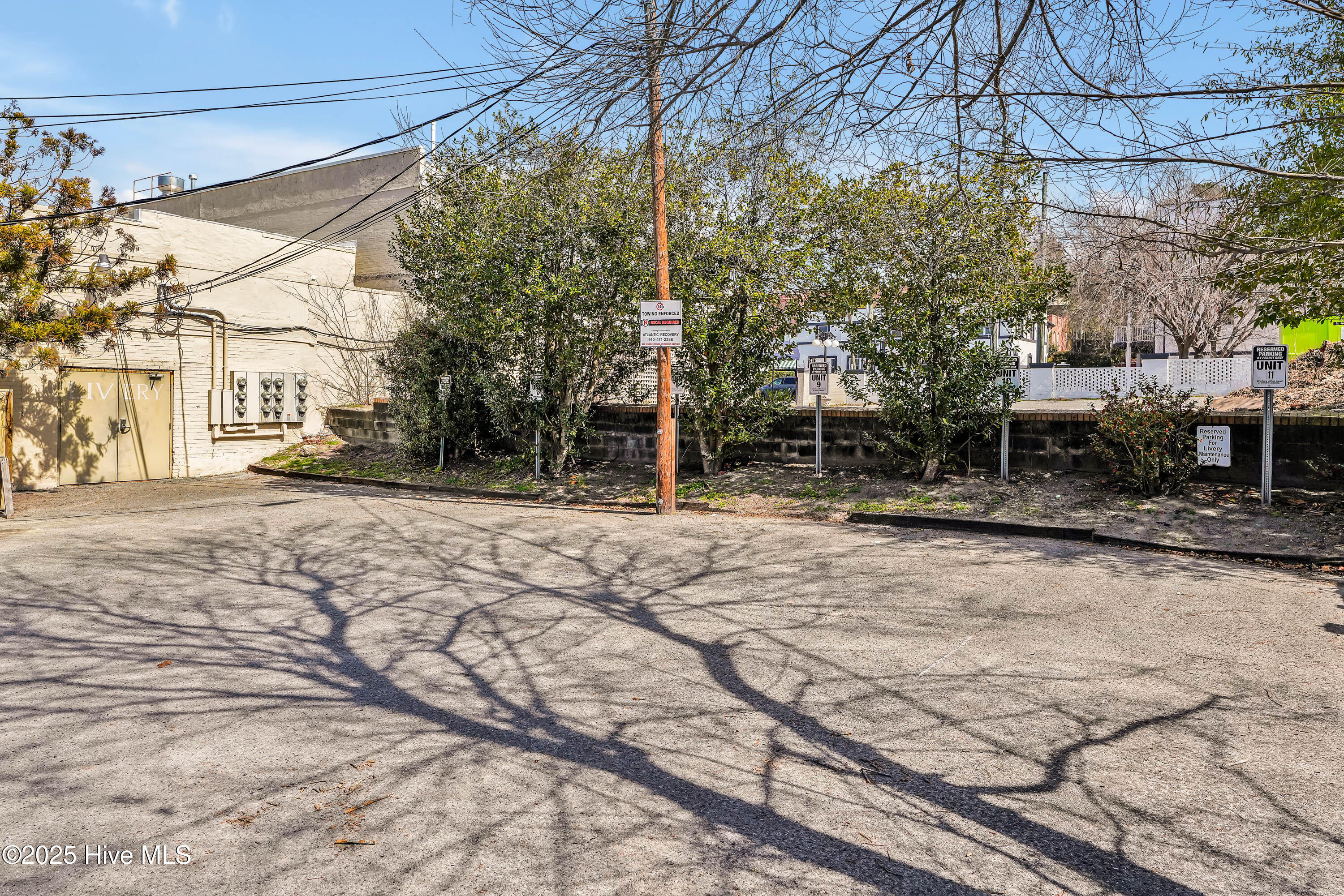 100491115 | Photo 29