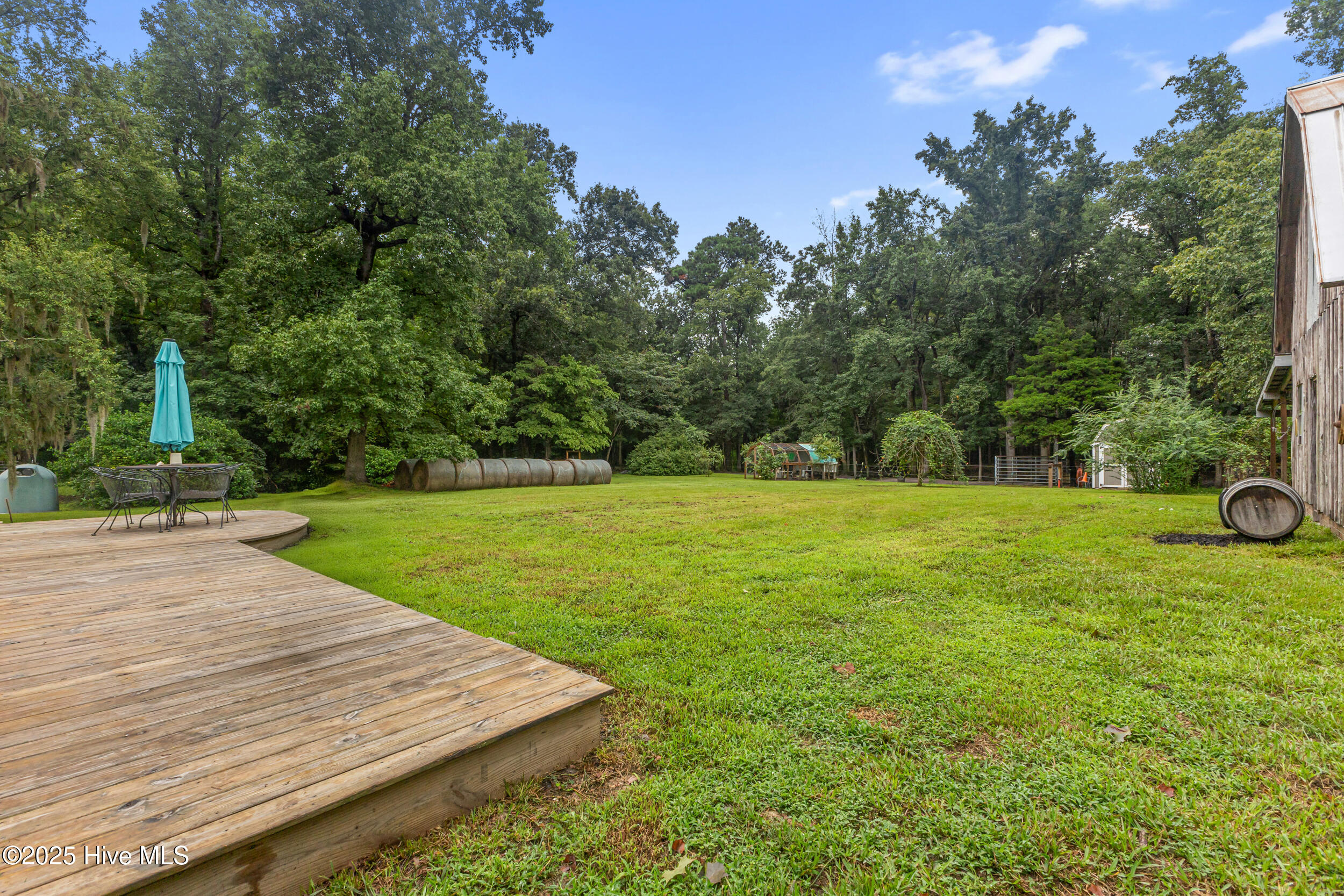 100524507 | Photo 29