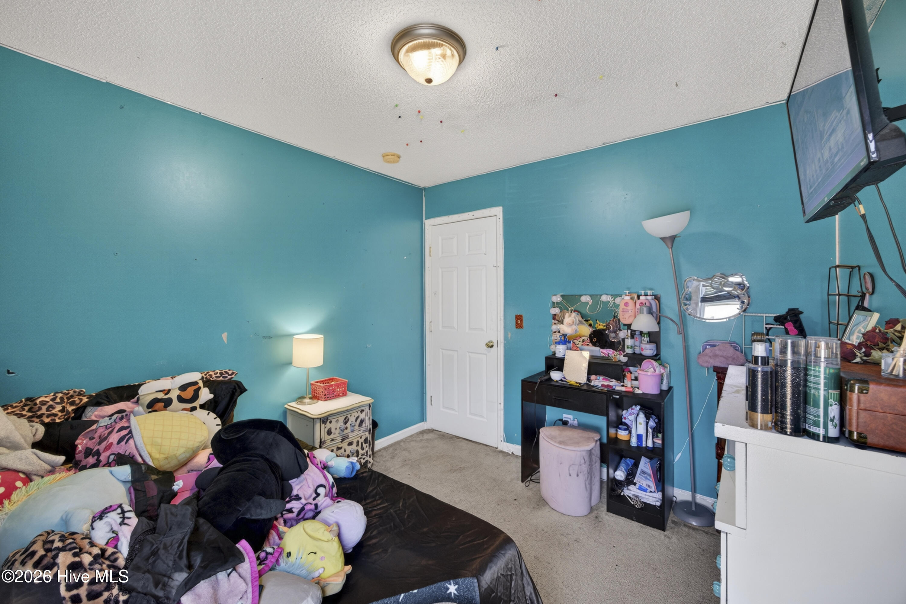 100567441 | Photo 21