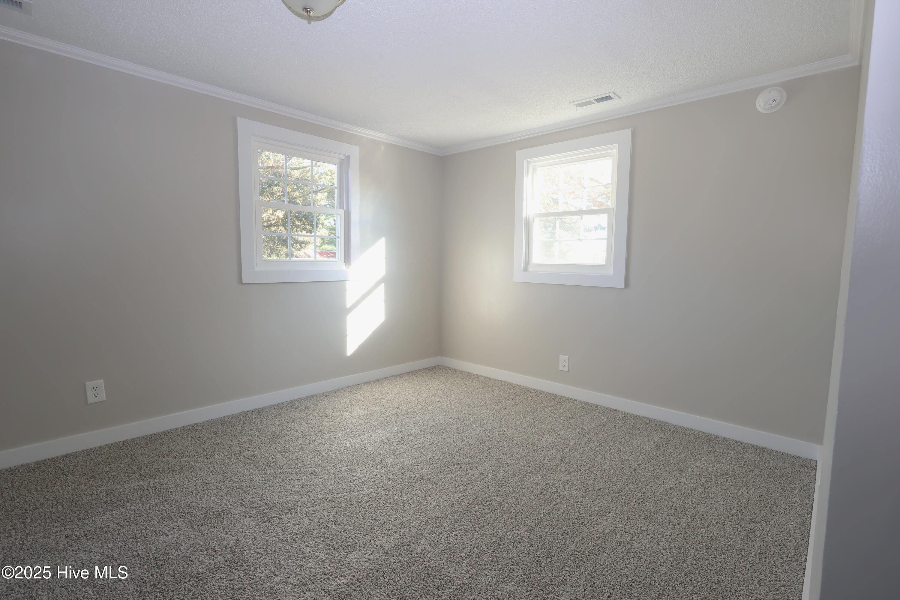 100554143 | Photo 12