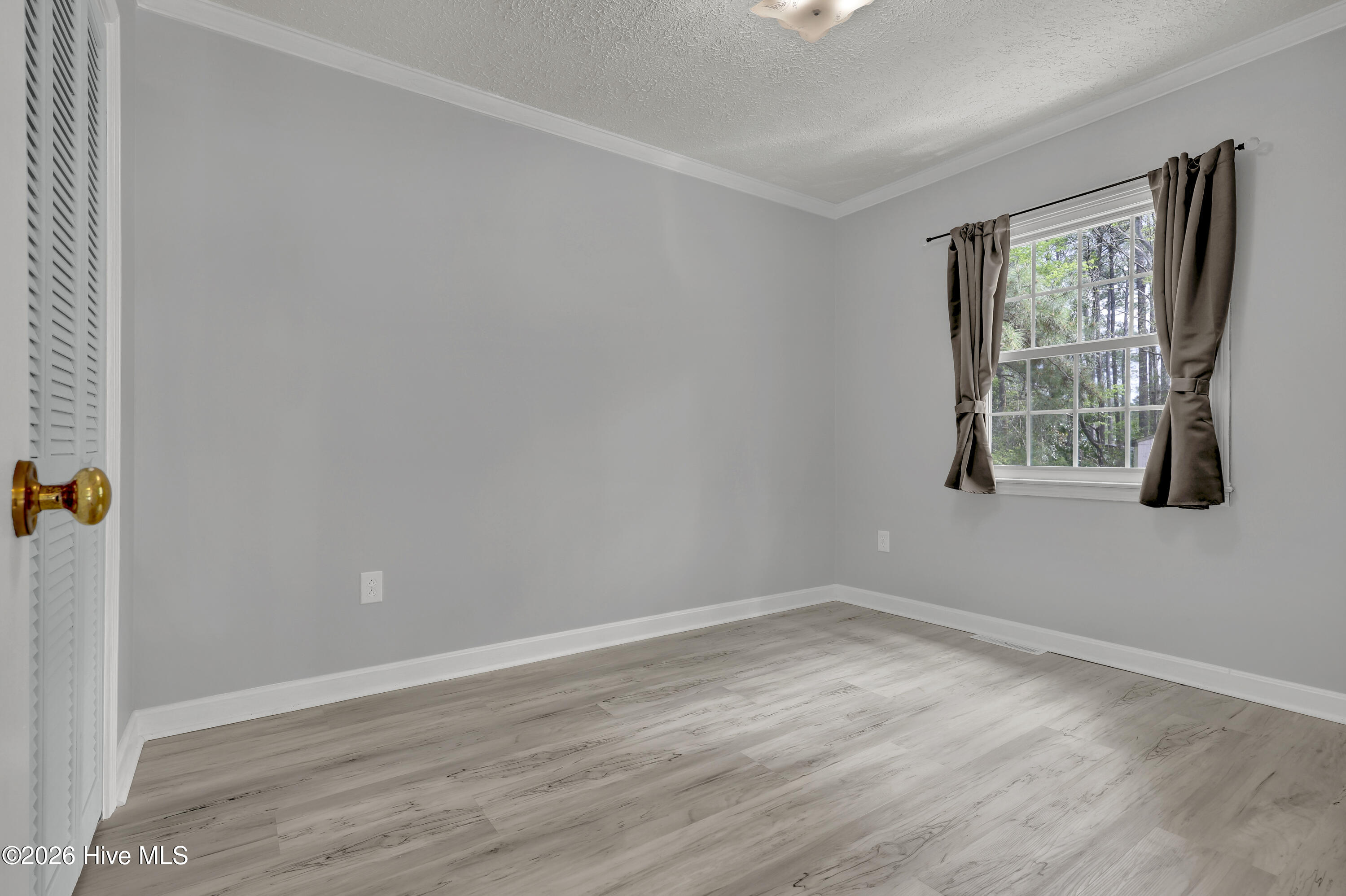 100564655 | Photo 16