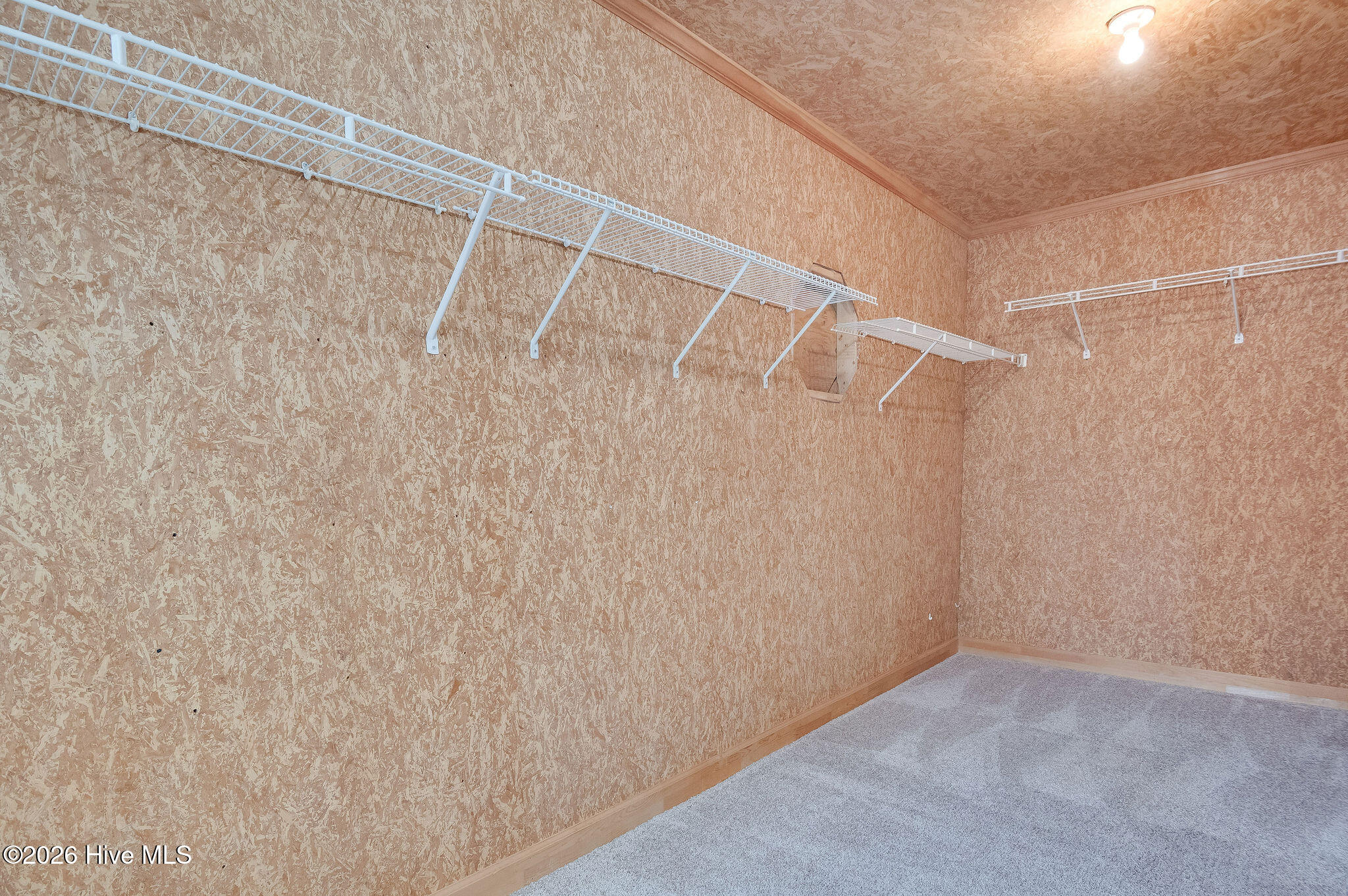 100565785 | Photo 35