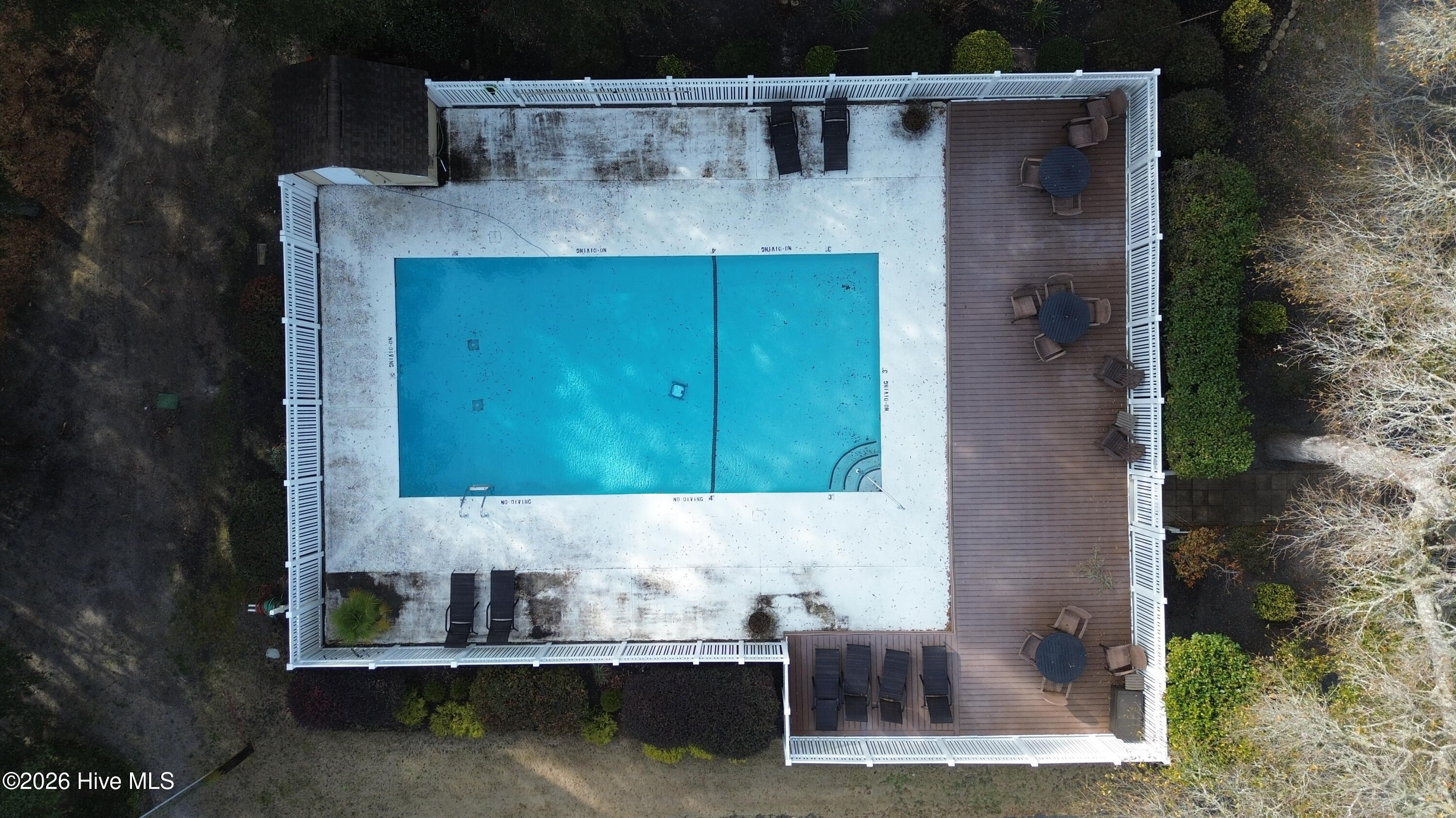 100556629 | Photo 52