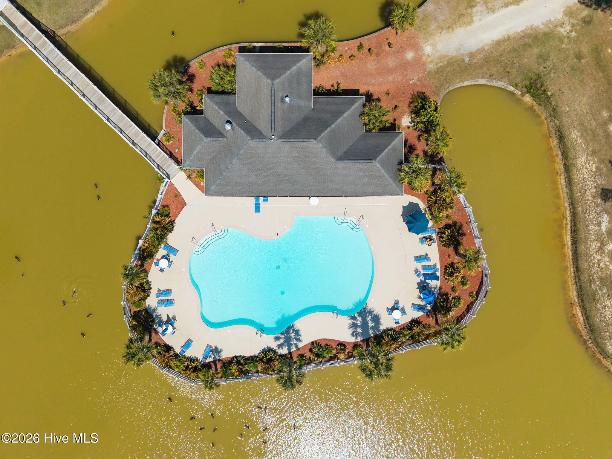 100567876 | Photo 46