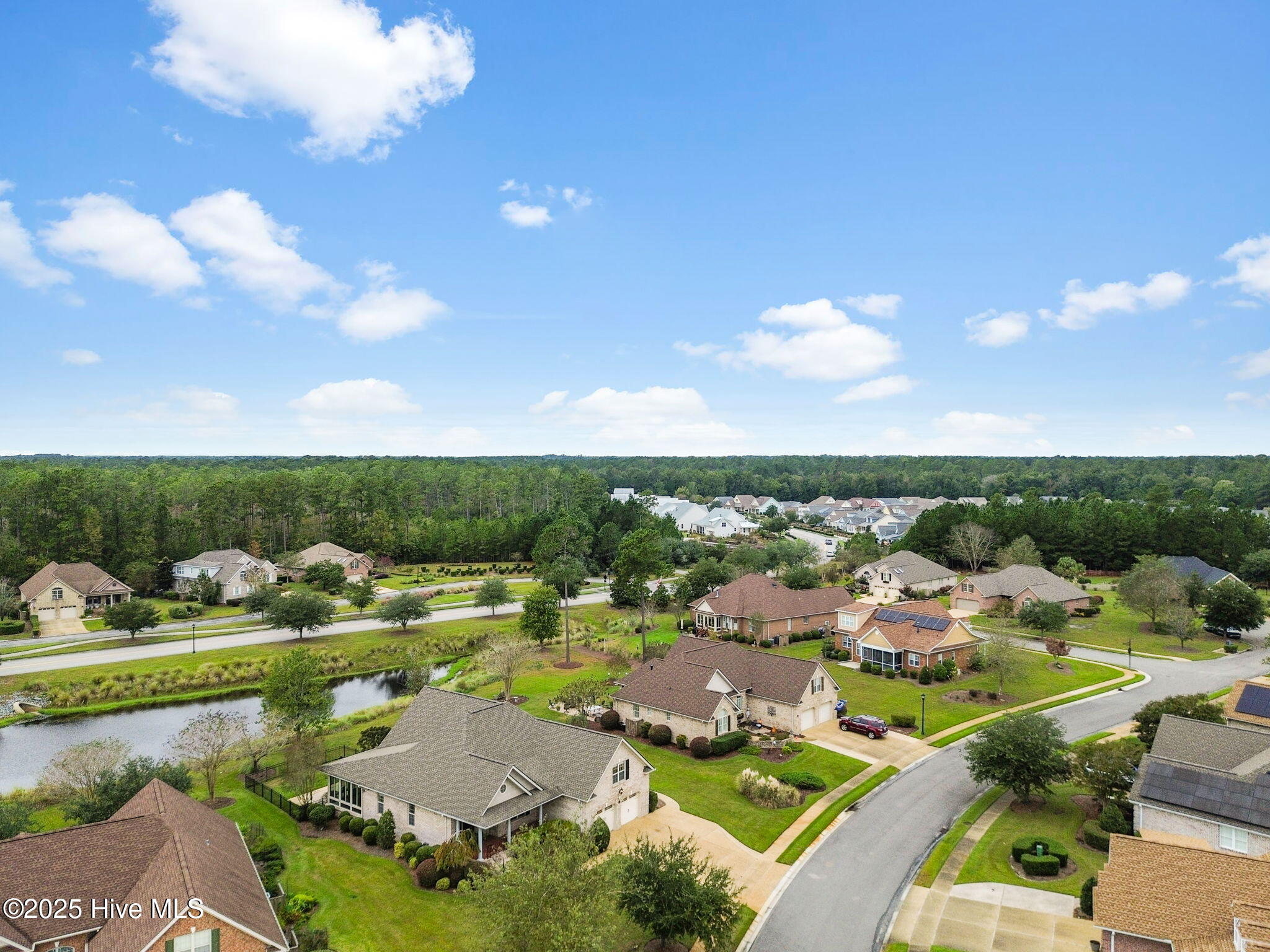 100546164 | Photo 49