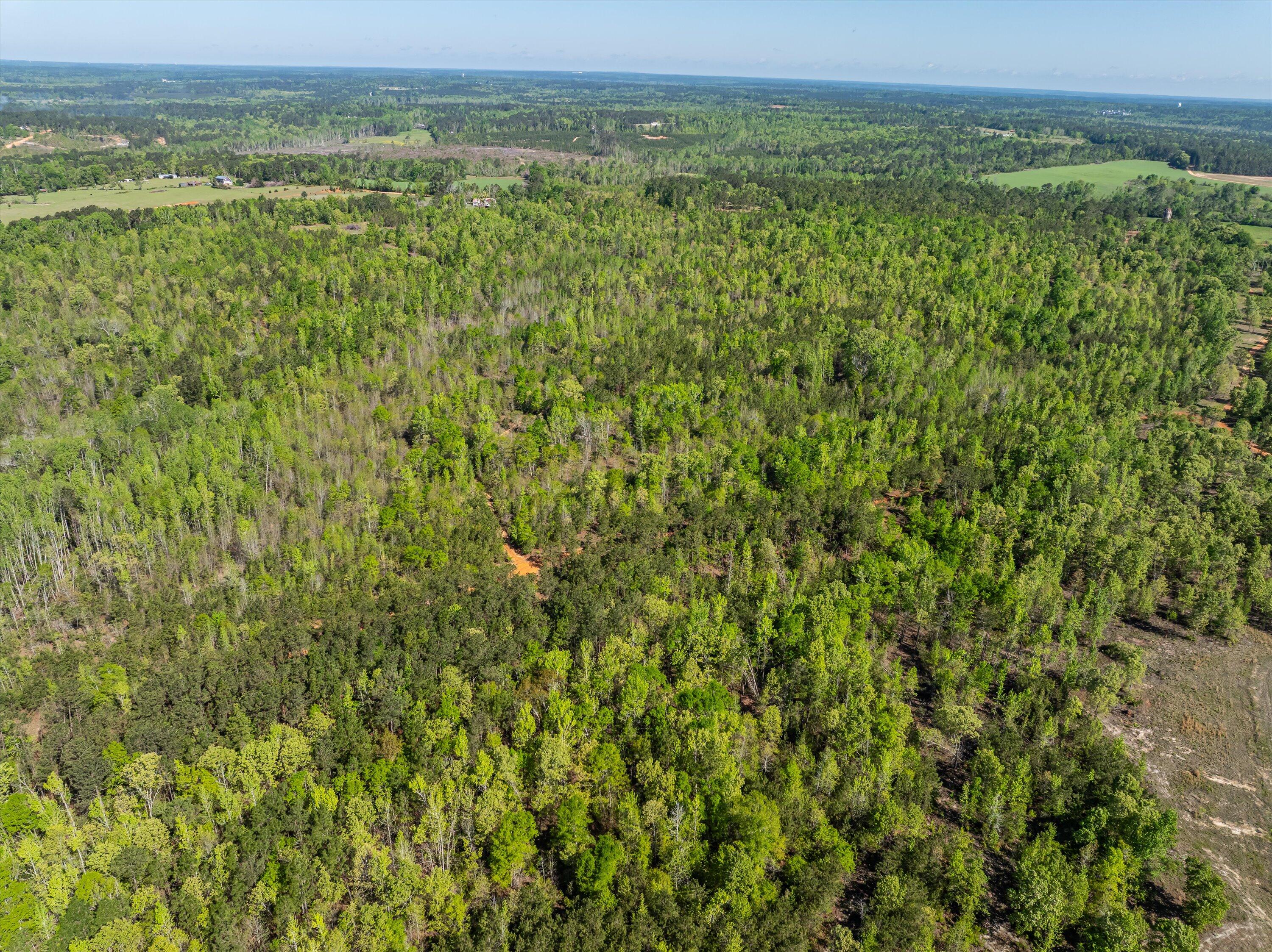 19-DJI_0683-HDR