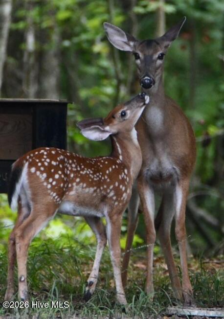 108 Farmington Road, Grimesland, NC, 27837