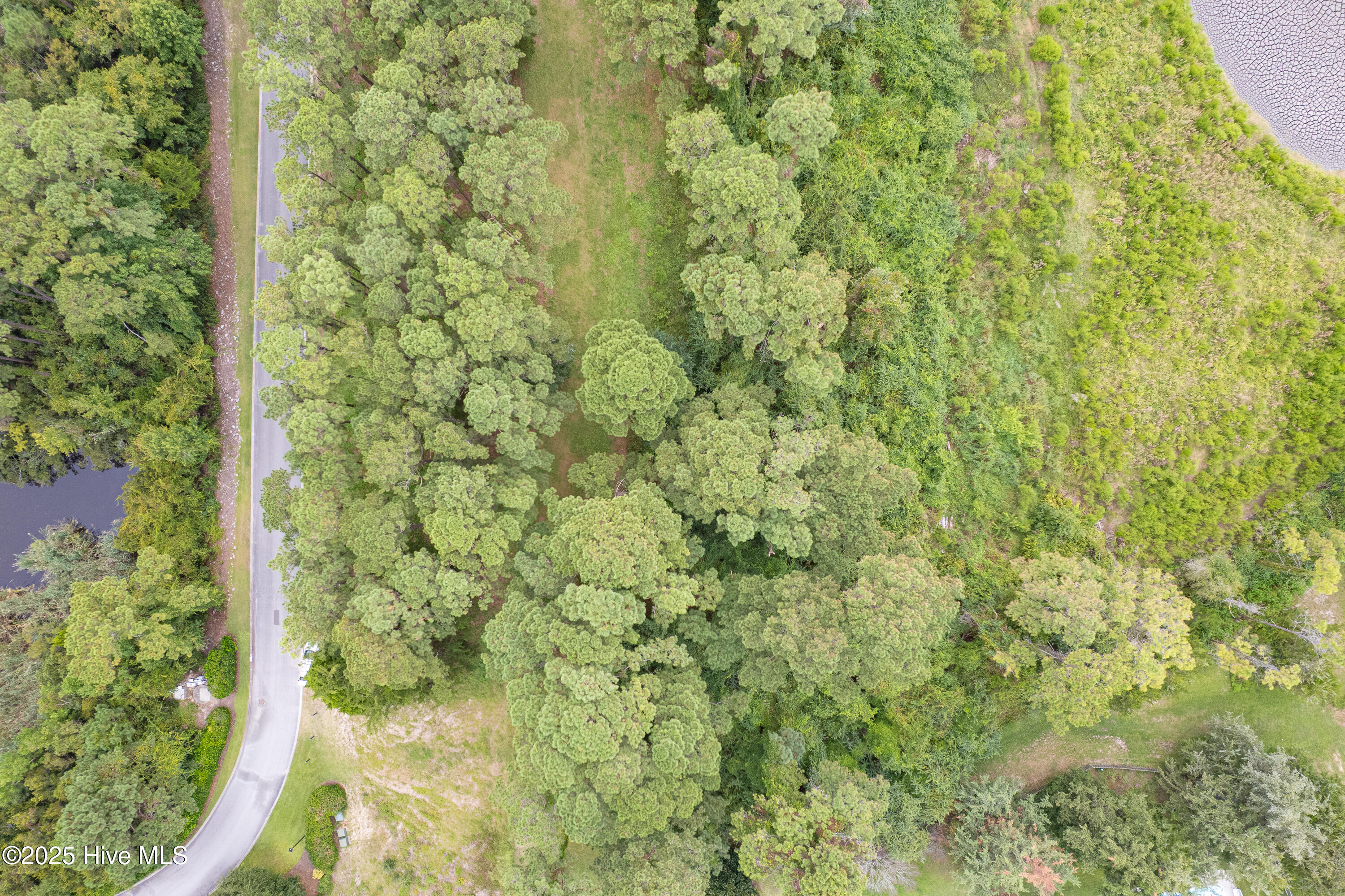 100529812 | Photo 15