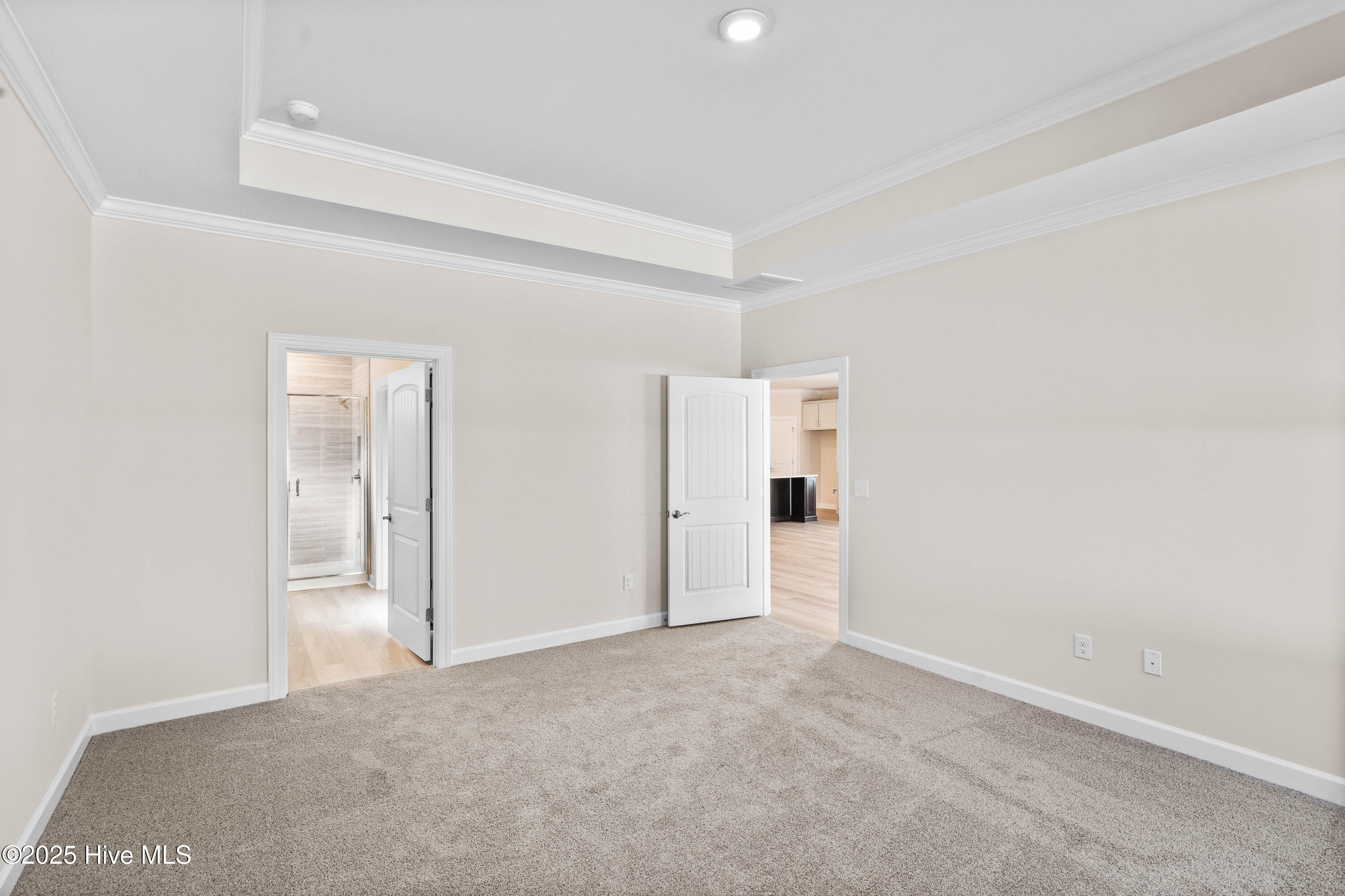 100499667 | Photo 19