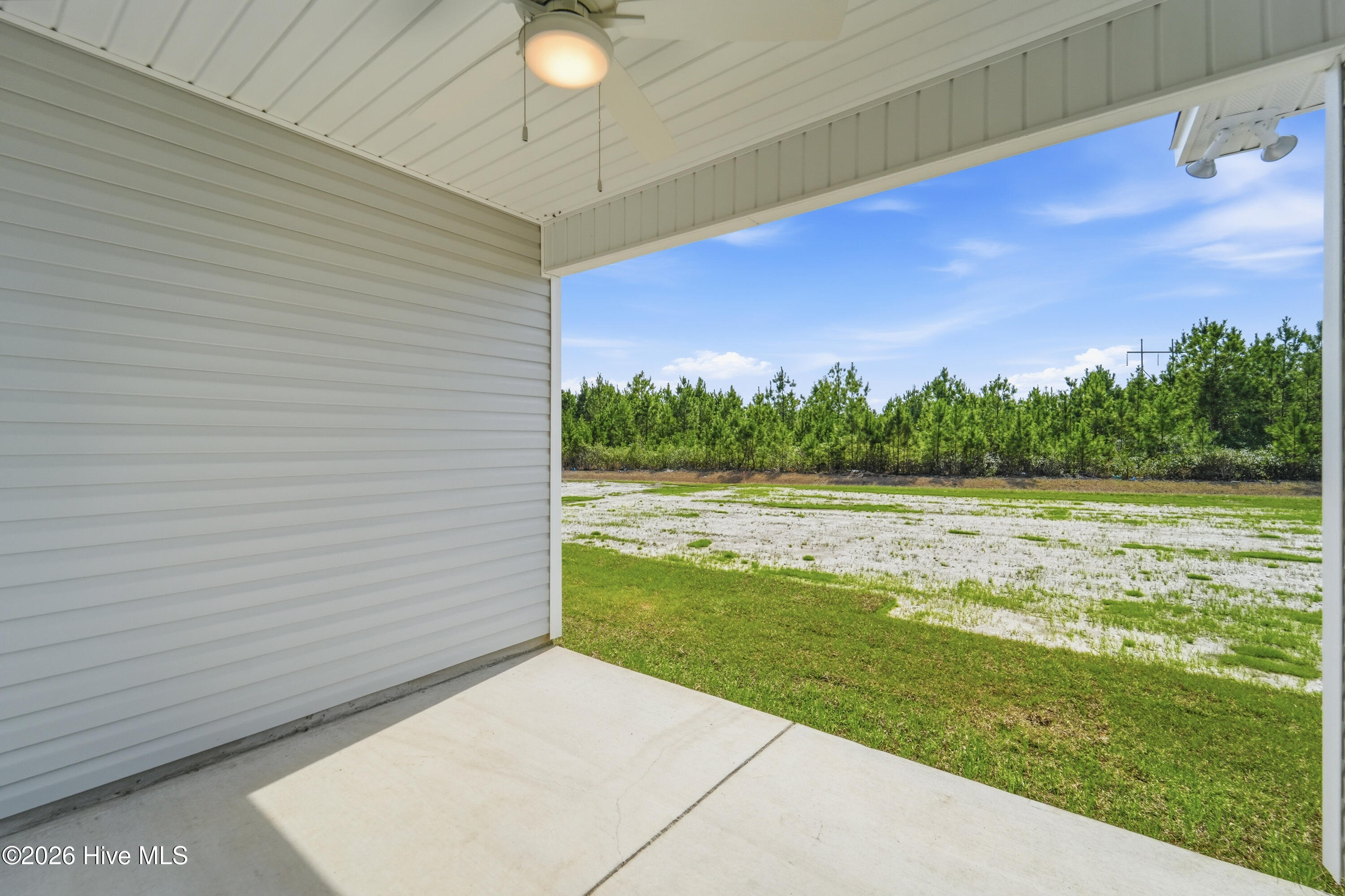 100525562 | Photo 31