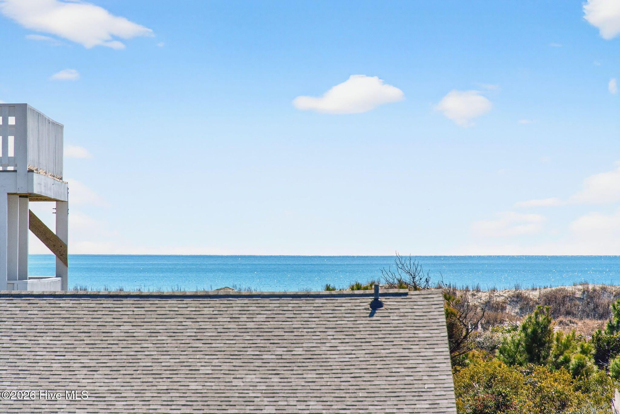 100554629 | Photo 37