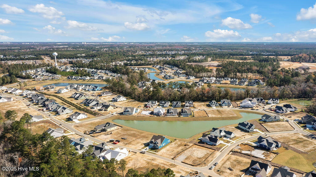 100540806 | Photo 12