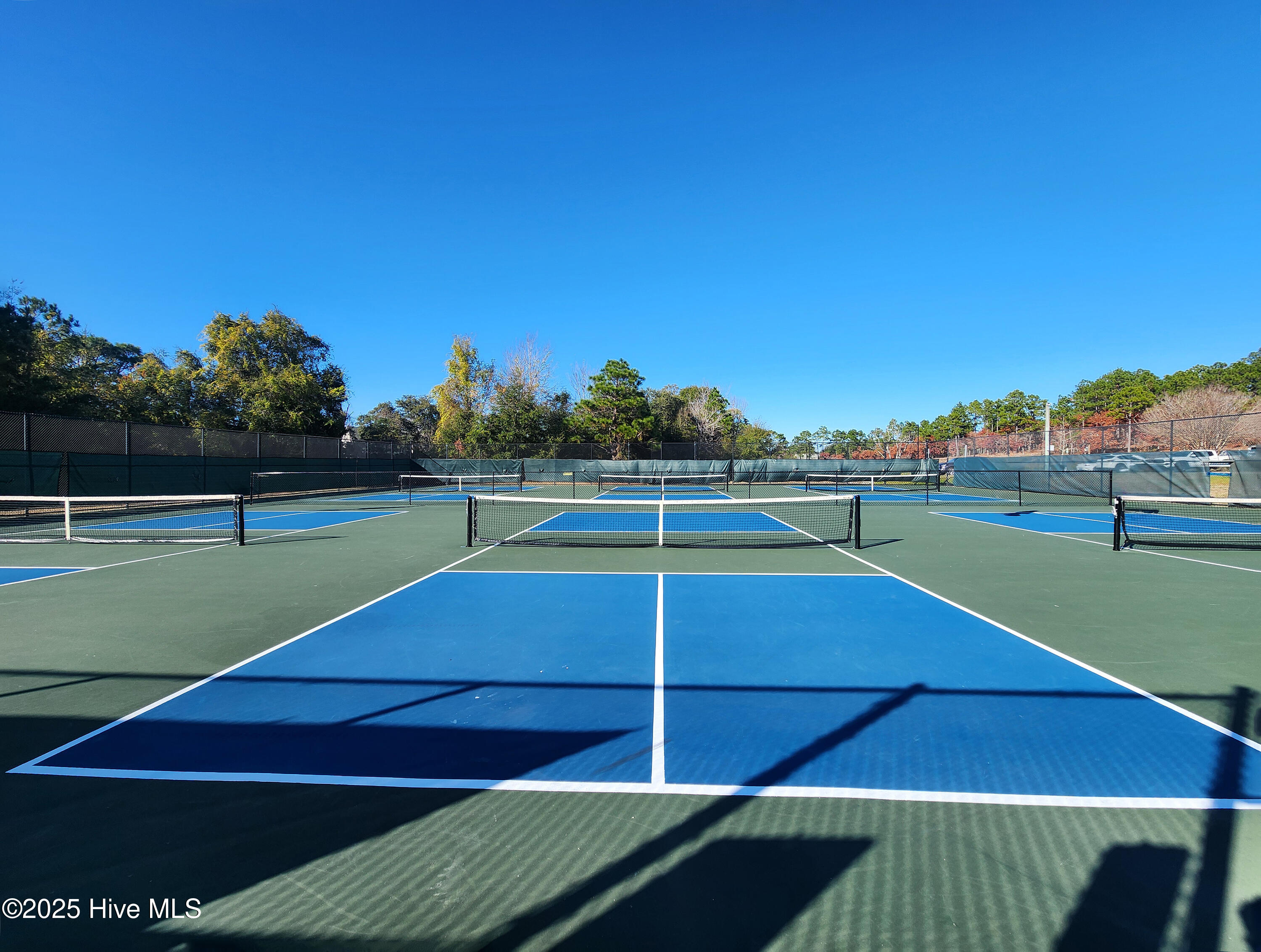 100545046 | Photo 44