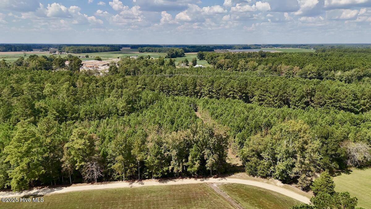 100531803 | Photo 12