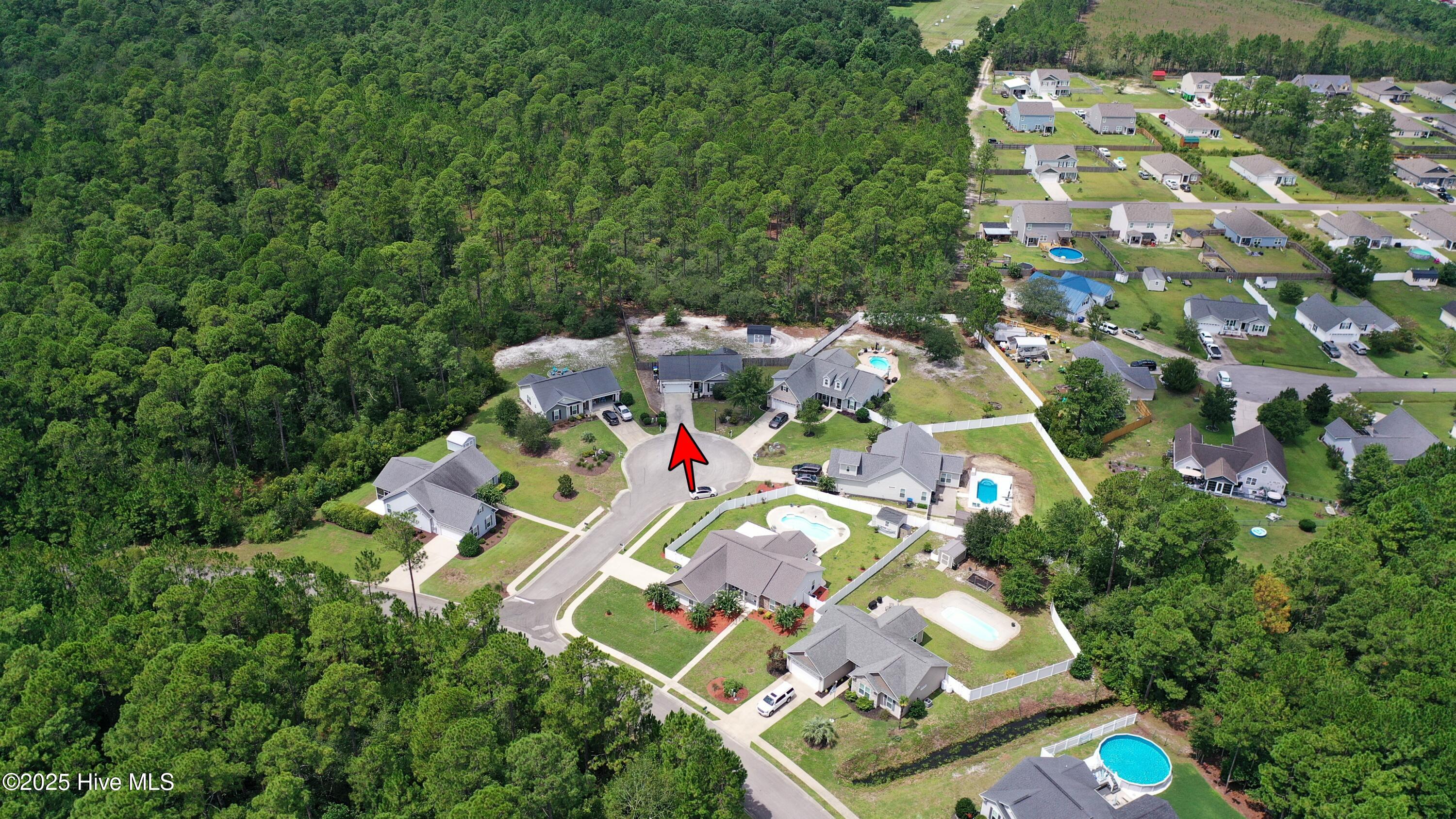 100525620 | Photo 35