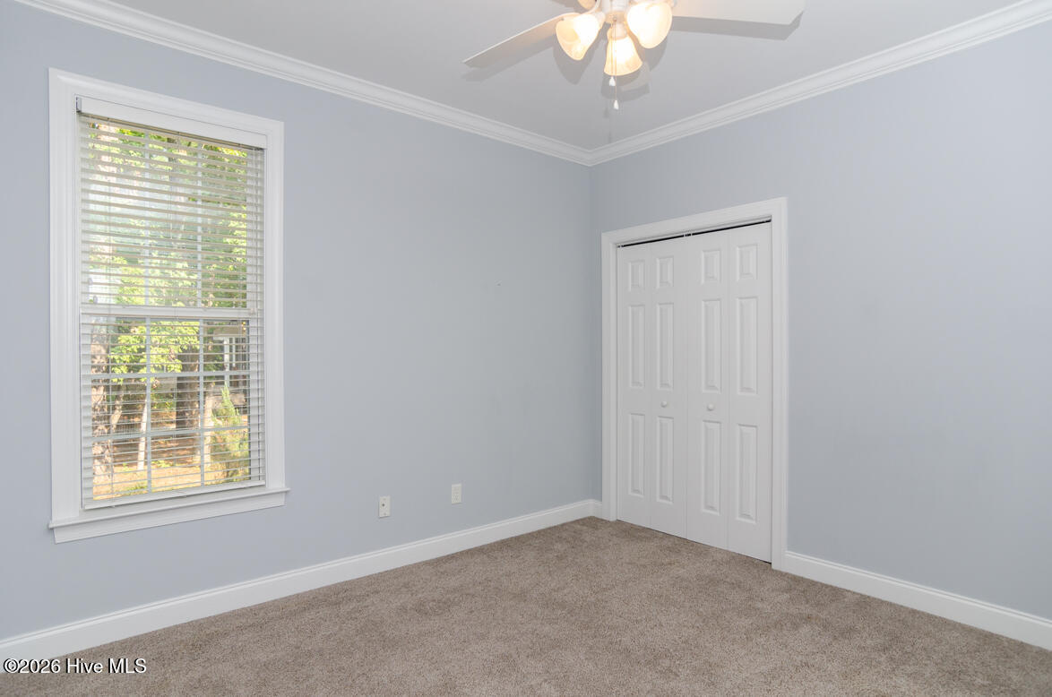 100553134 | Photo 27