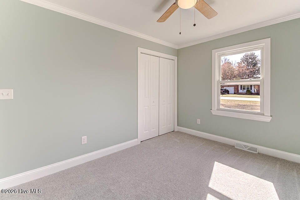 100558677 | Photo 38