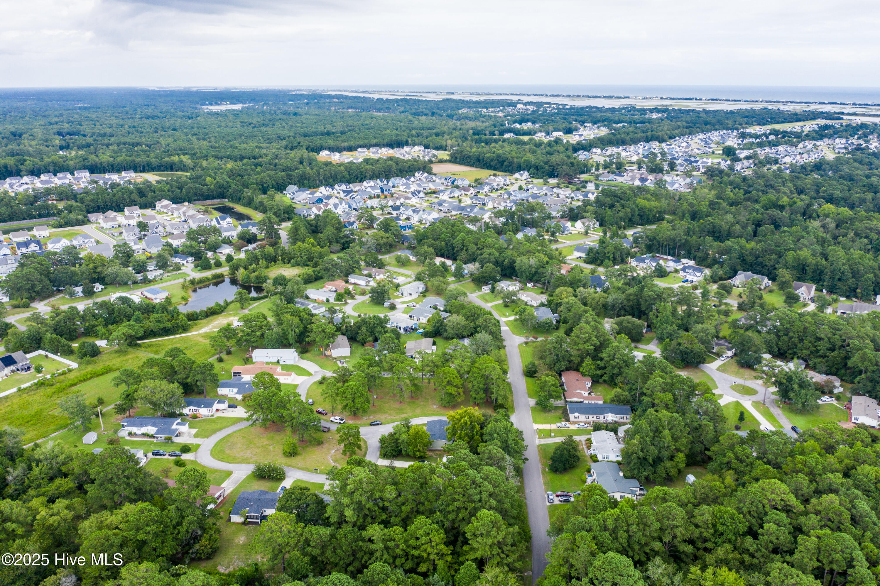 100523647 | Photo 31