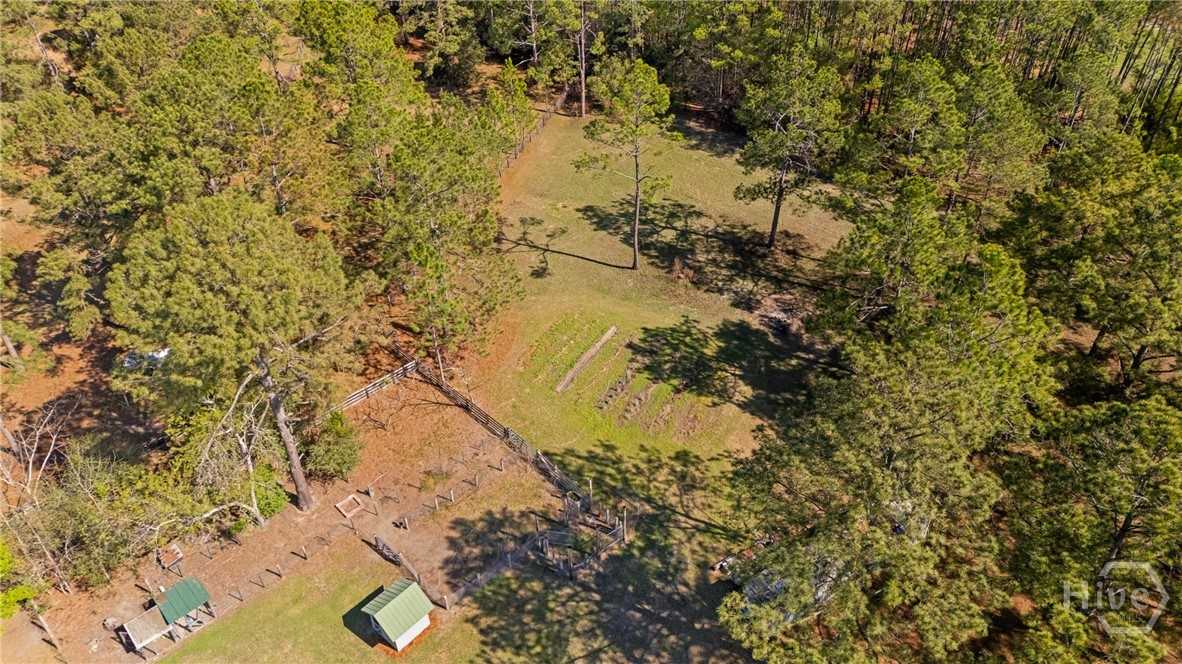 5048 Clyo Kildare Road, Clyo, GA 31303 Listing Photo  70
