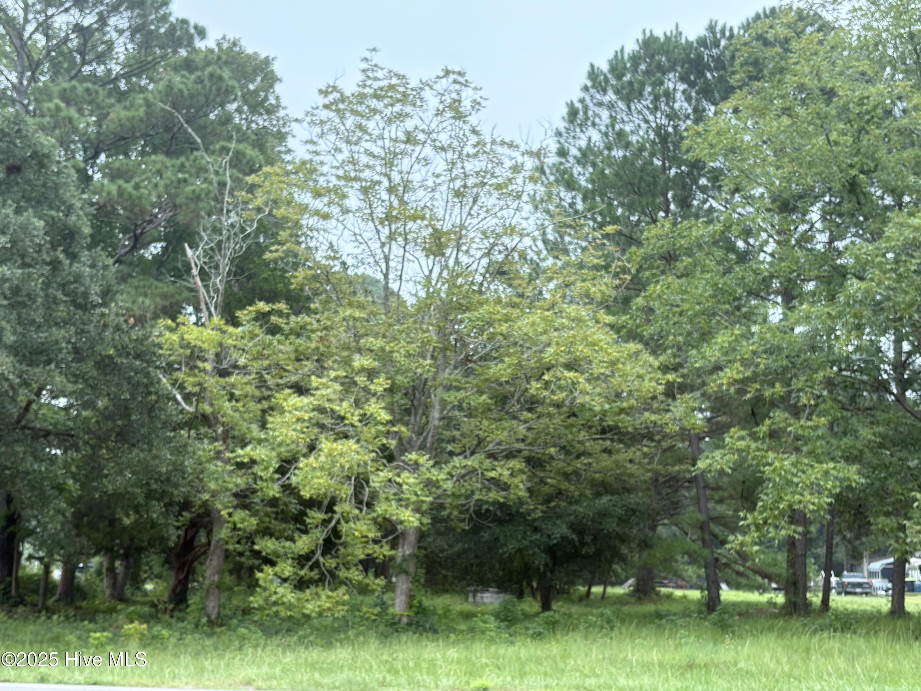 100527480 | Photo 3