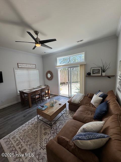 100499994 | Photo 18