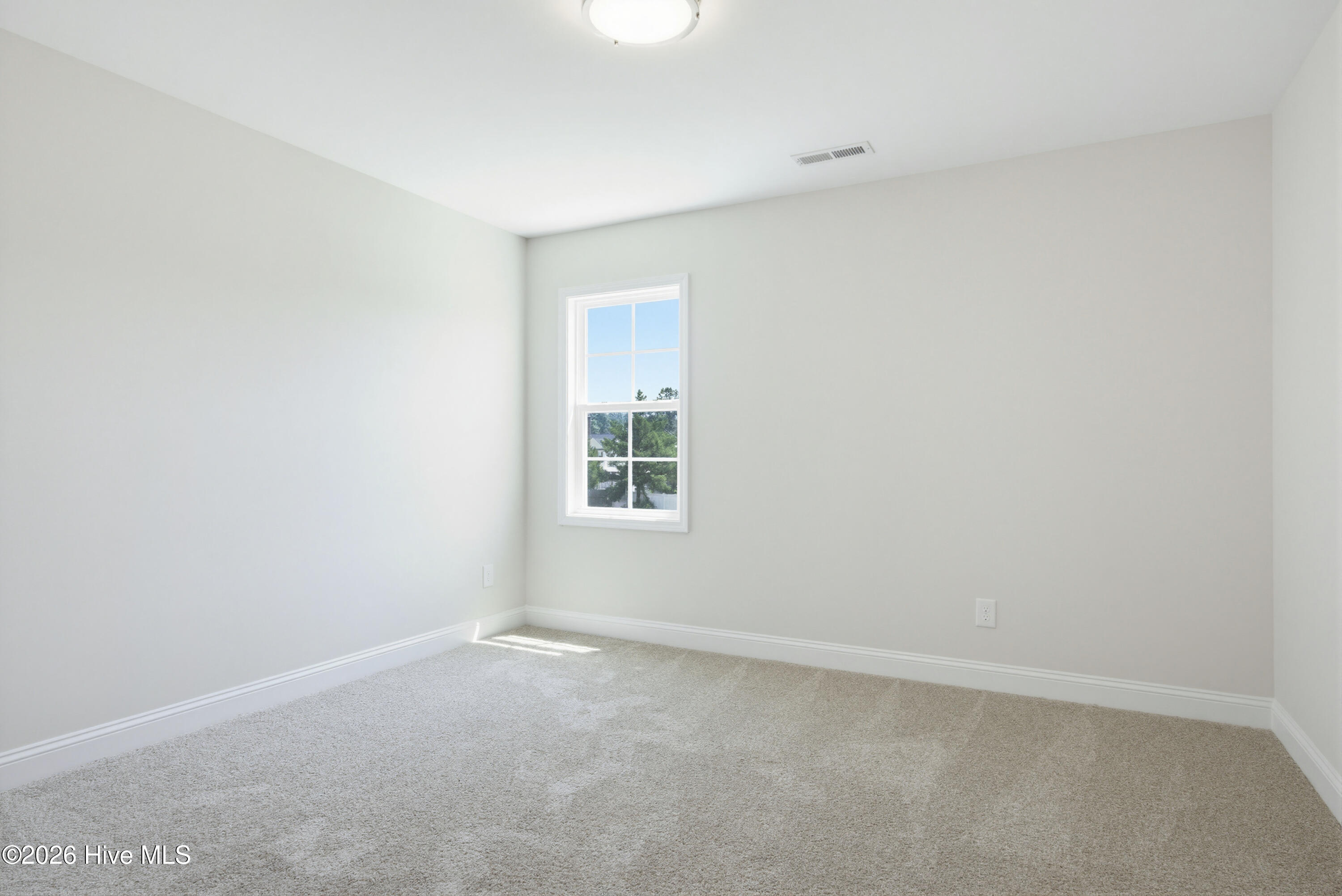 100567421 | Photo 19