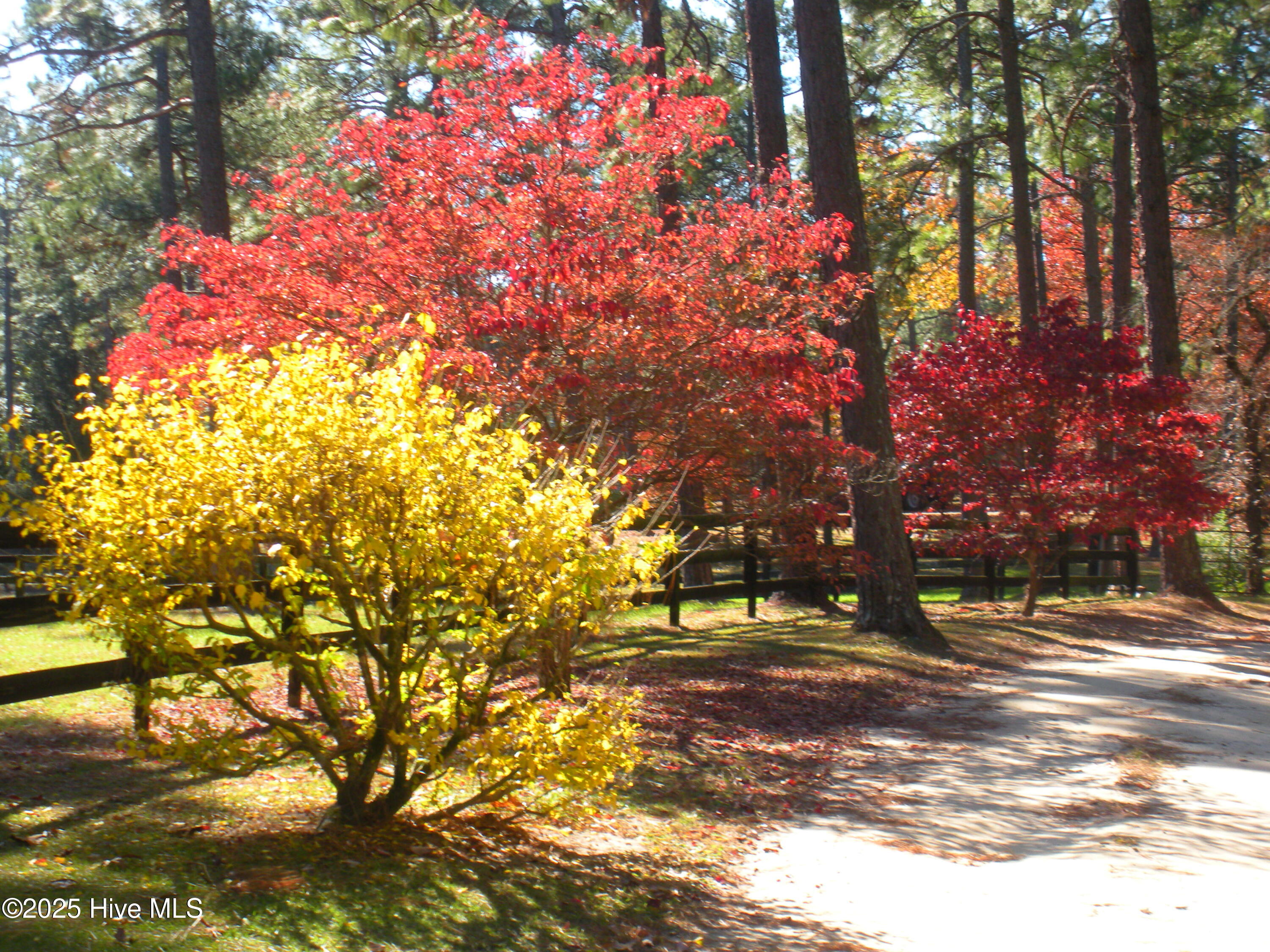 292 Bump A Long Lane, Southern Pines, NC, 28387