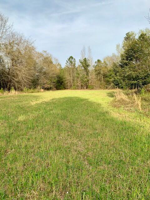 2405 HWY 88, Hephzibah, GA, 30815