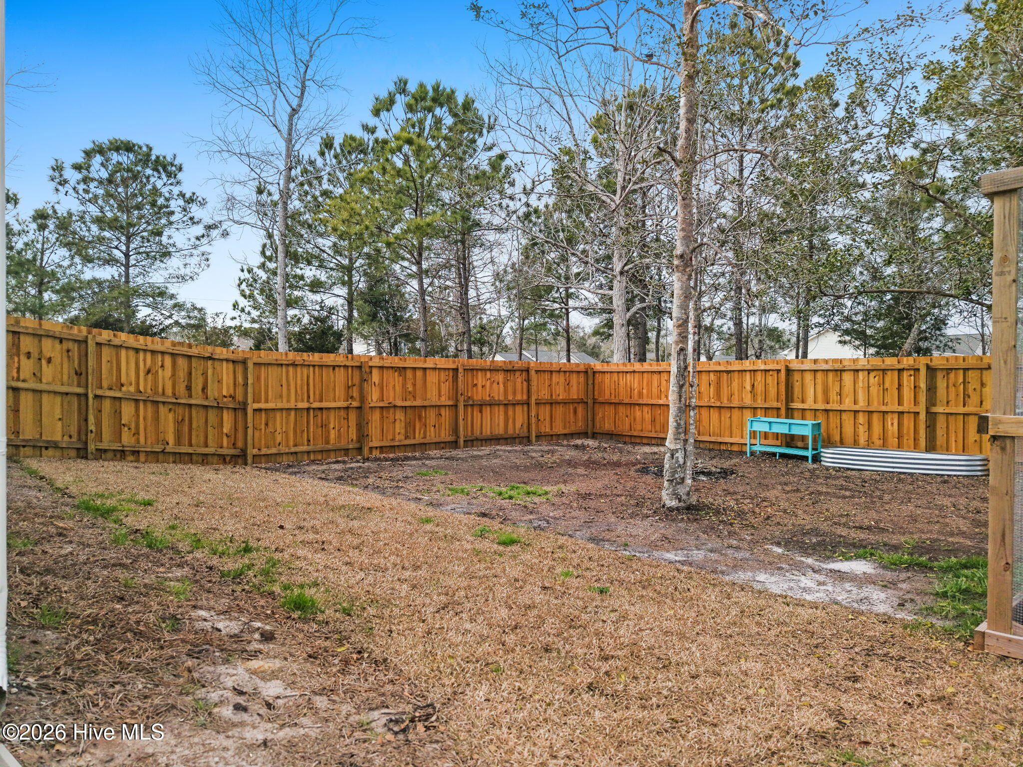 100556728 | Photo 40