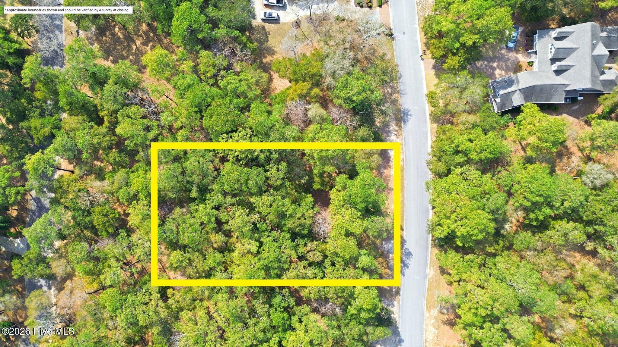 100562202 | Photo 12