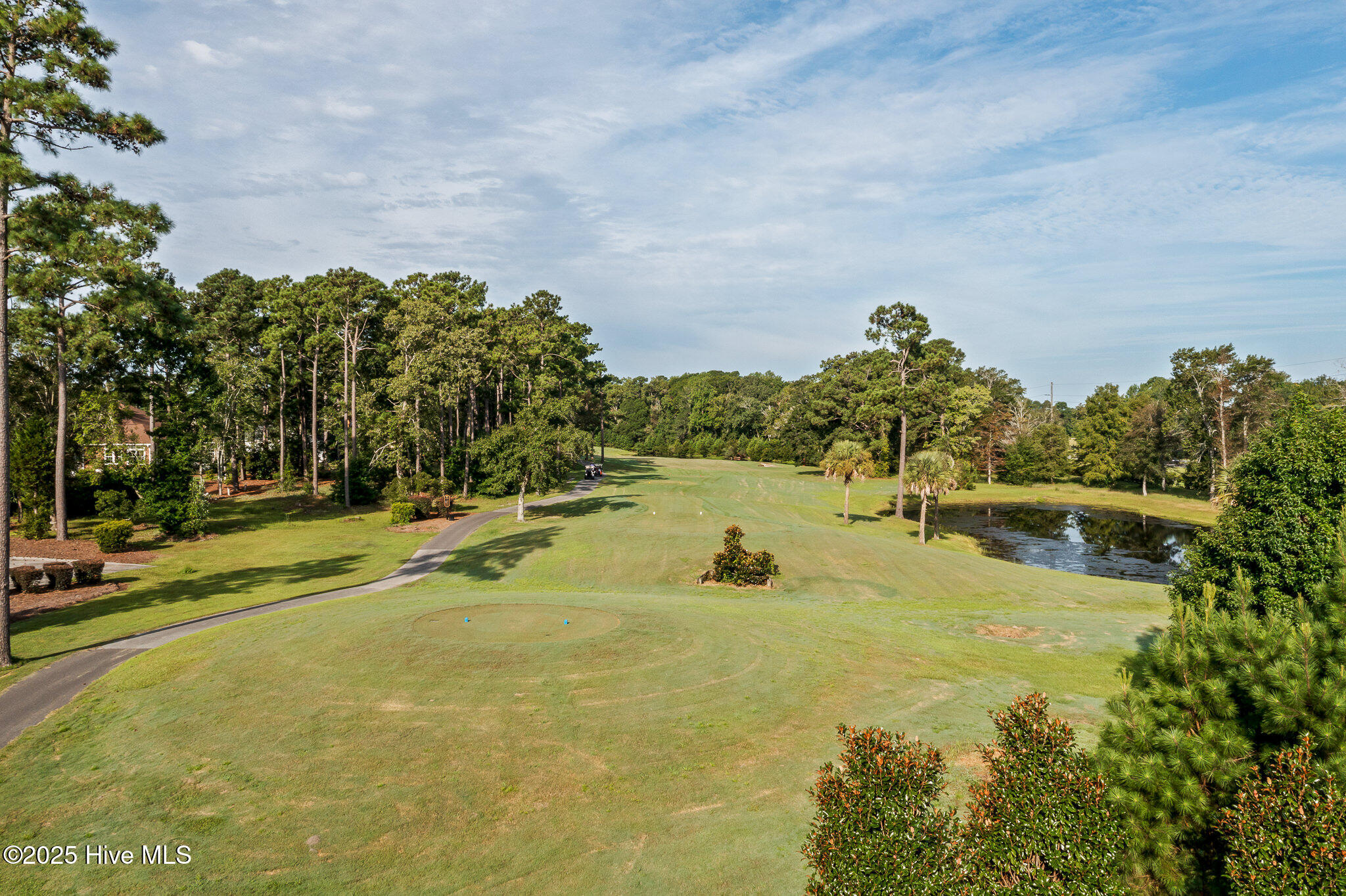 100528098 | Photo 51