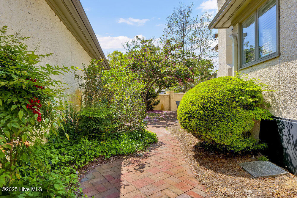 100551135 | Photo 31