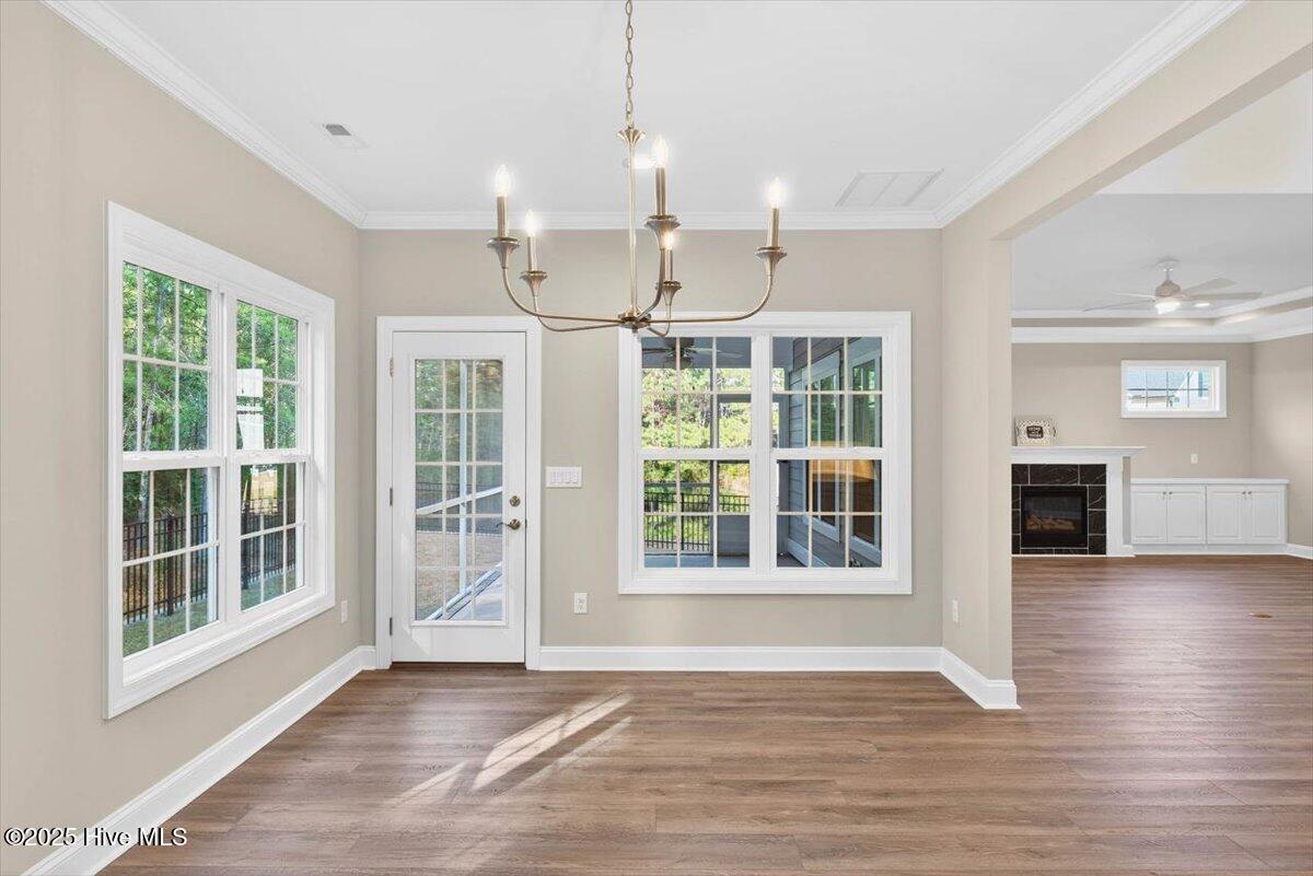 100546300 | Photo 18